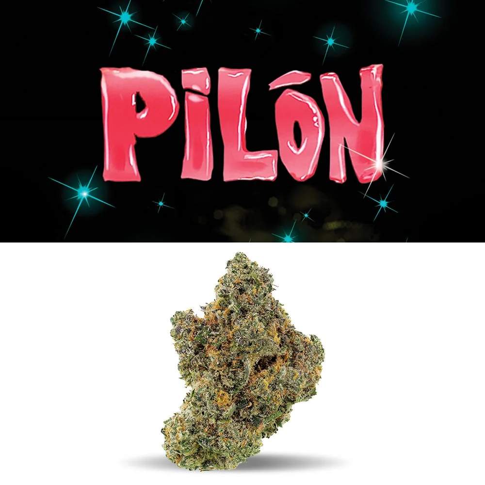 PILON