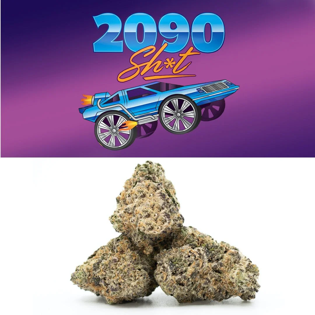 2090 SHOT