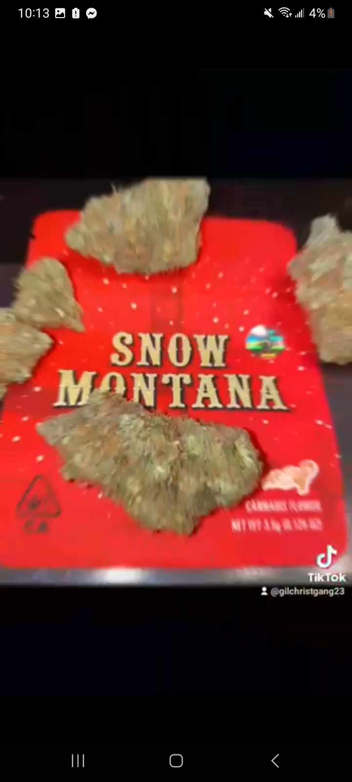SNOW MONTANA