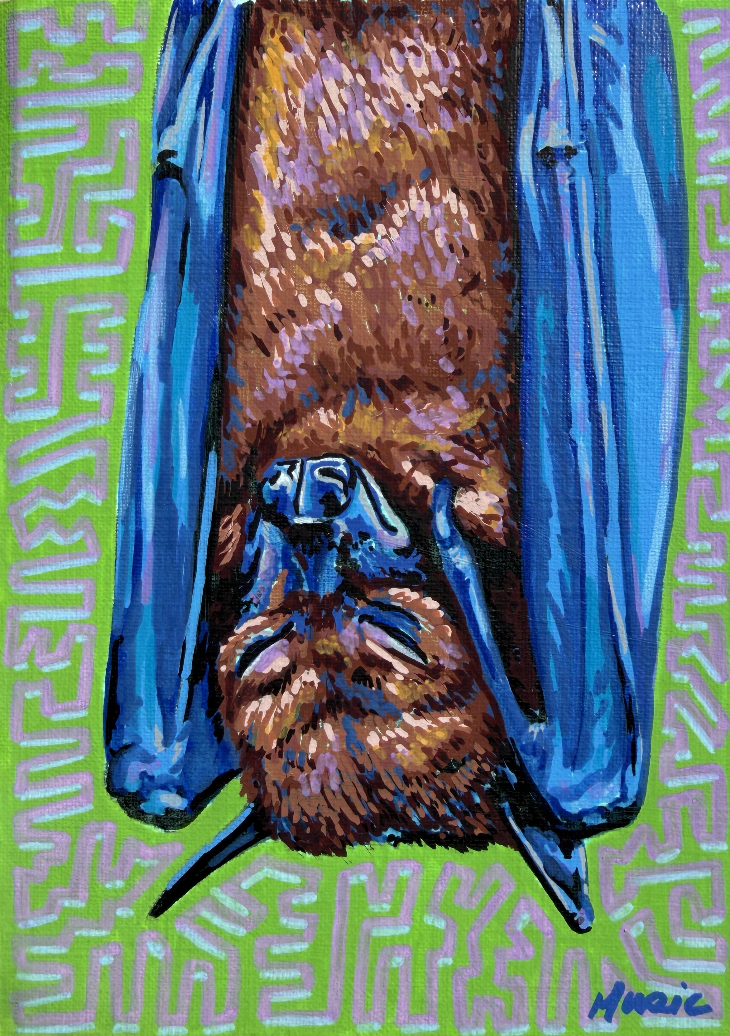 sleepy bat