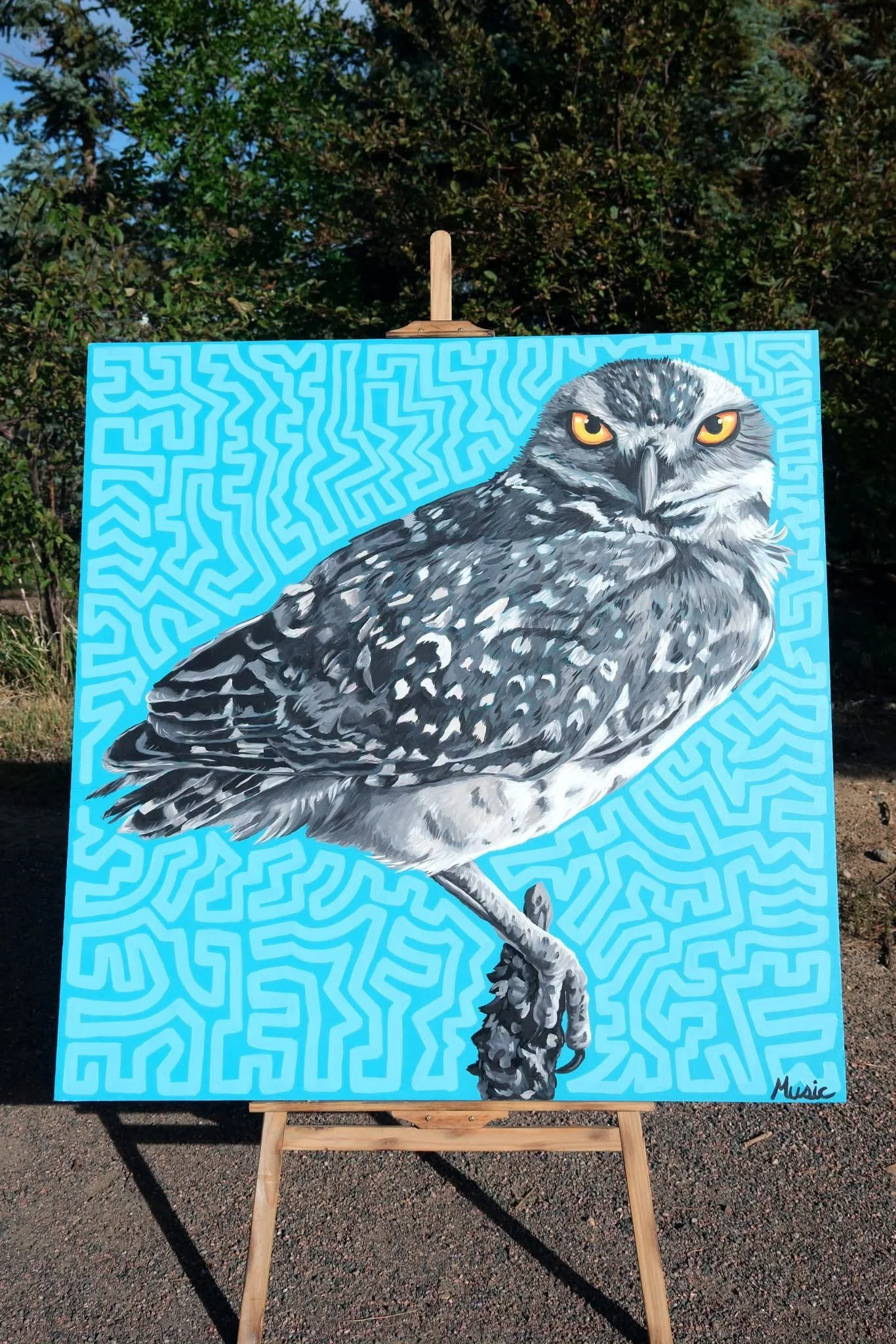 Burrowing Owl
City of Westminster Mini Mural
(To be auctioned off at the North Metro Art Alliance Gala)