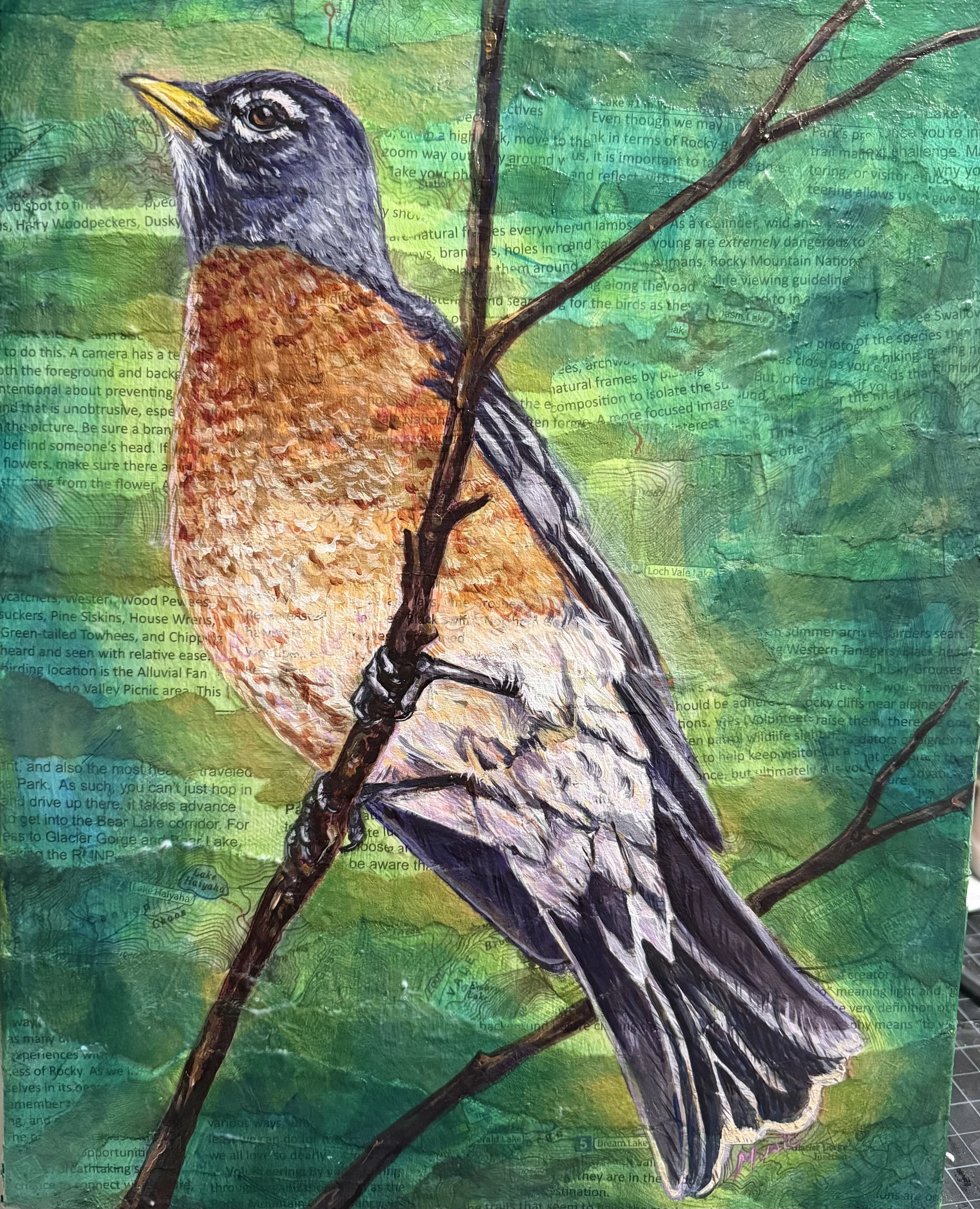 Bird's the Word
Mixed Media (Collage/Acrylic) on Canvas
14x11 Inches