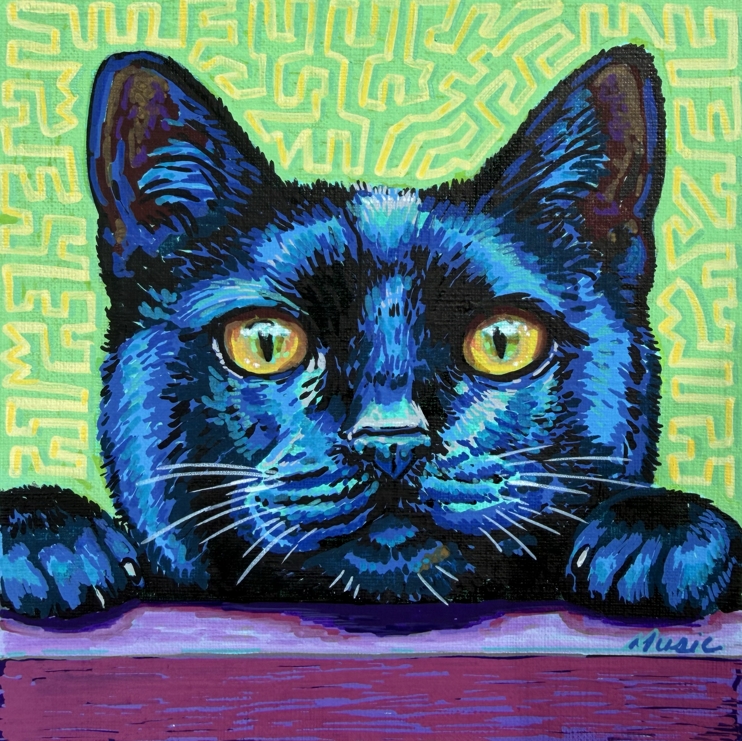 black cat.