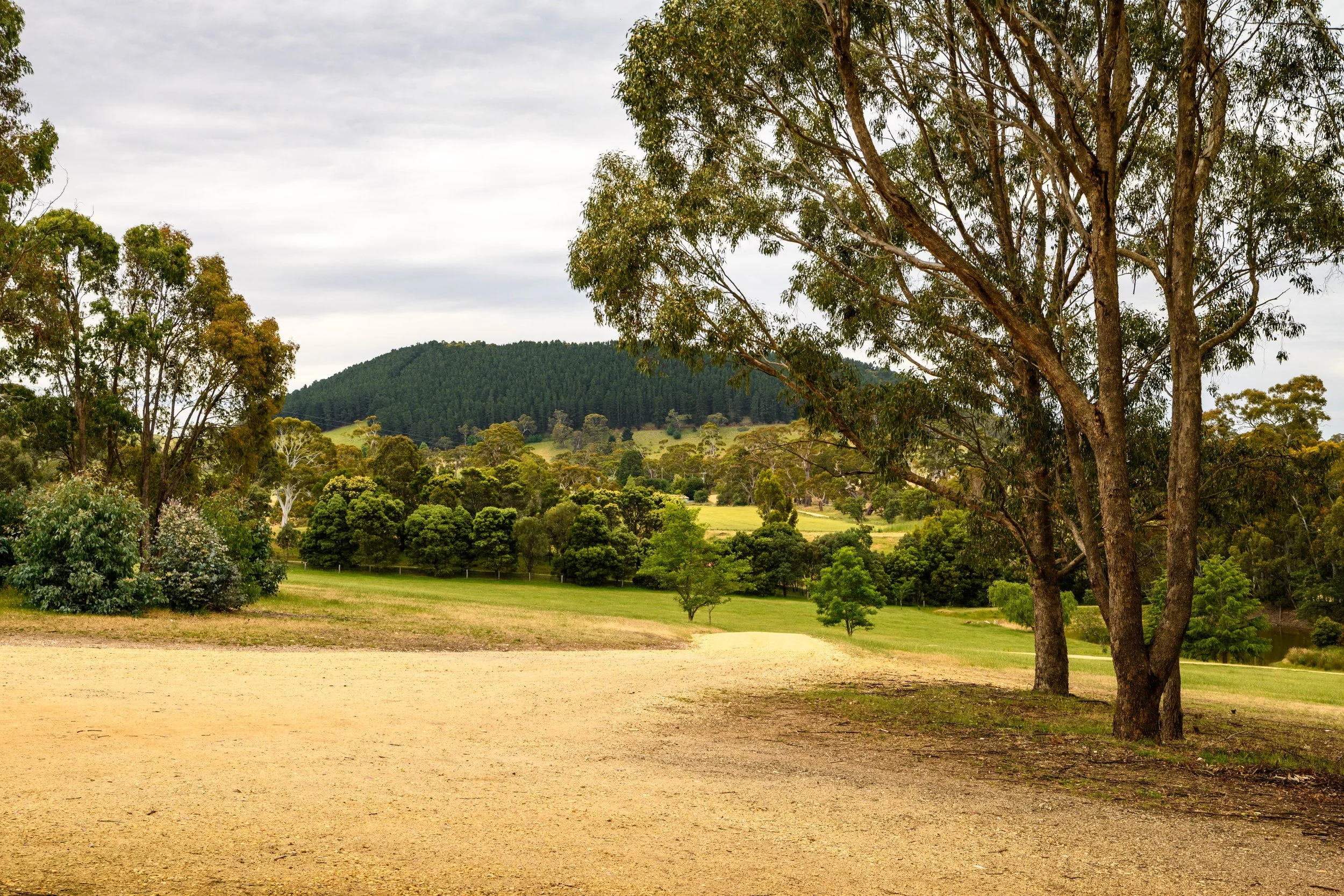 Discover-Daylesford-Bloomwood-Mt-Franklin-Views.jpeg