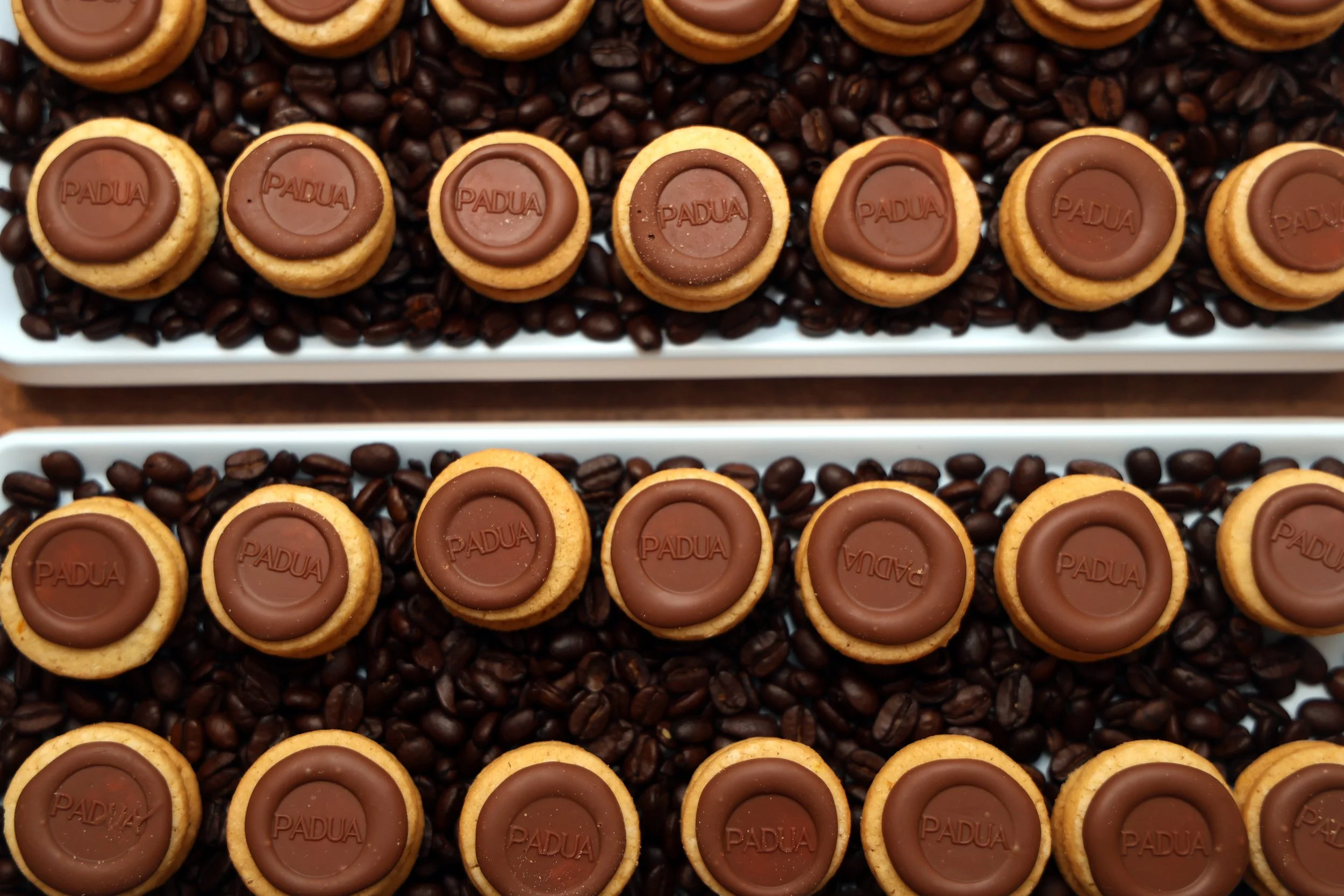 5G0A1503.JPG