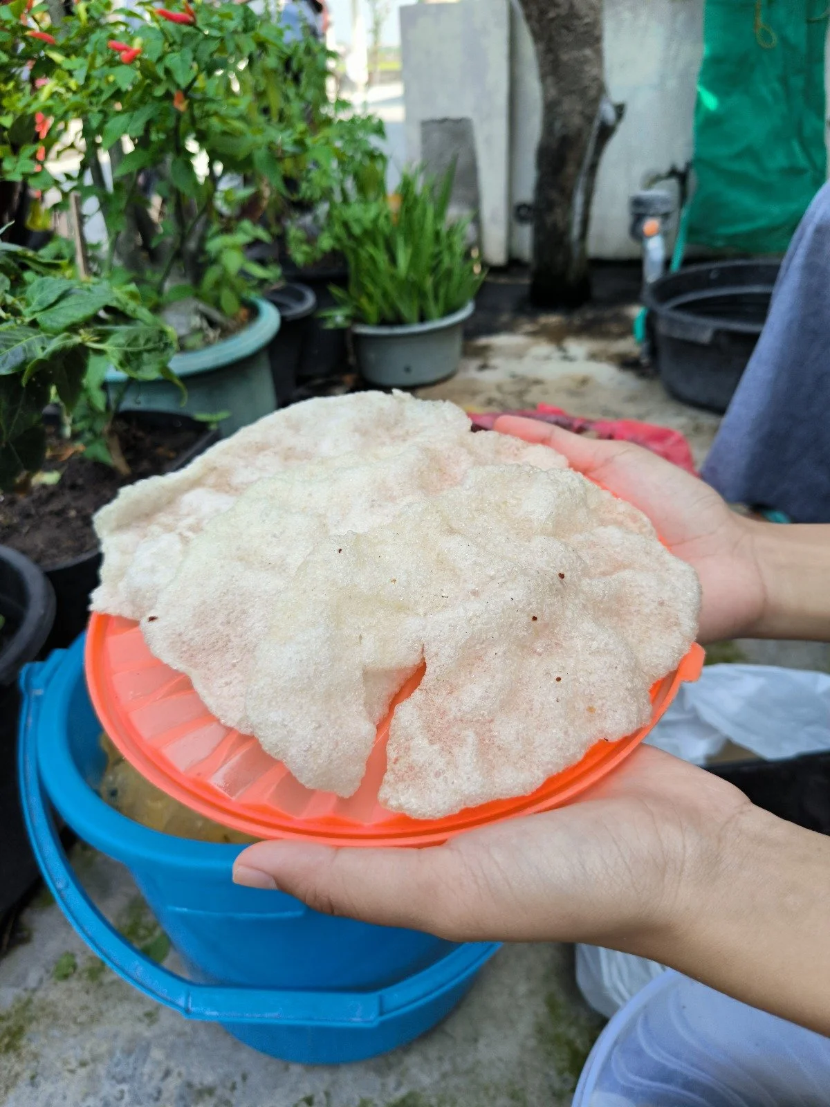 kerupuk-samiler-matang-1.1f924d49.jpeg