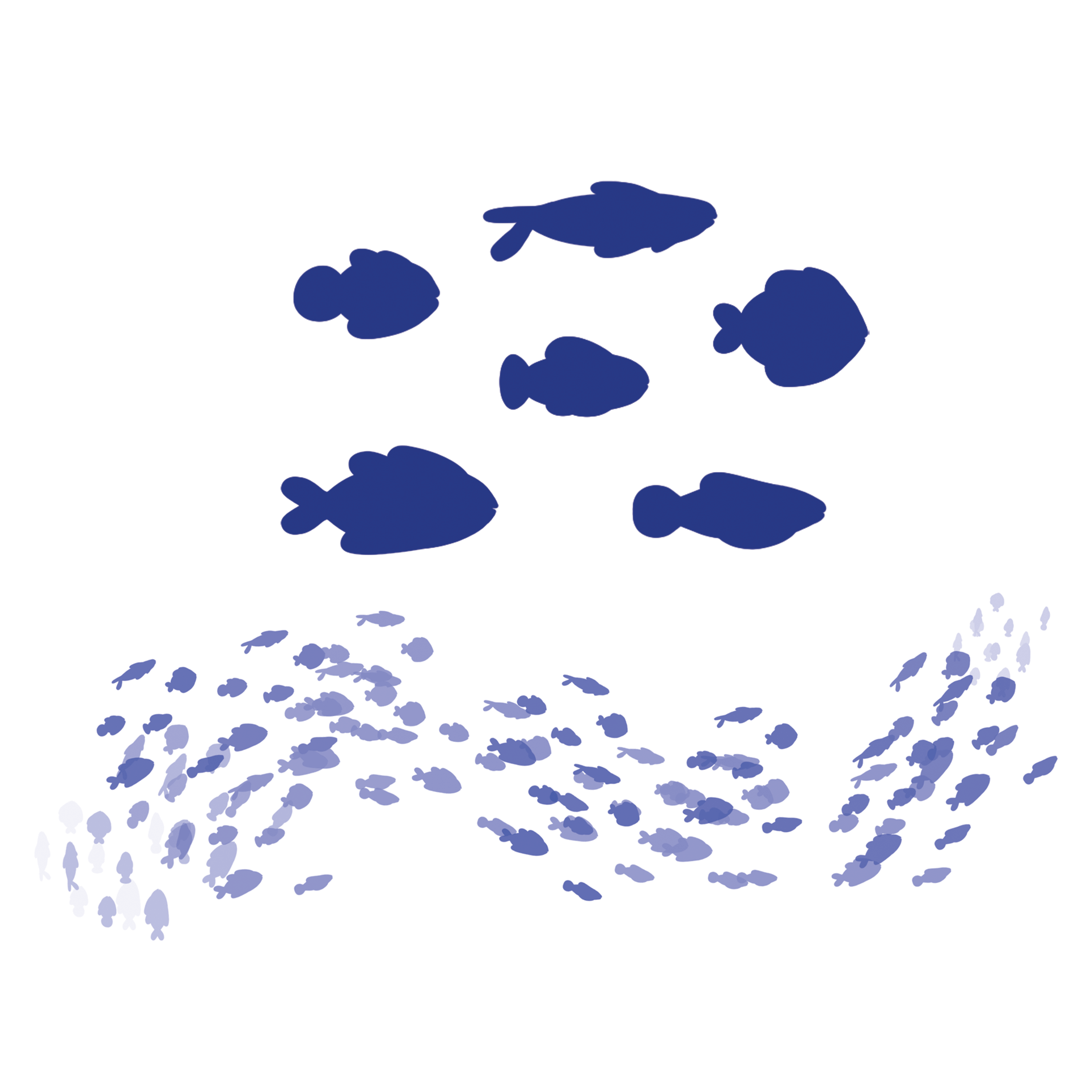 Fish Pattern randomized brush set