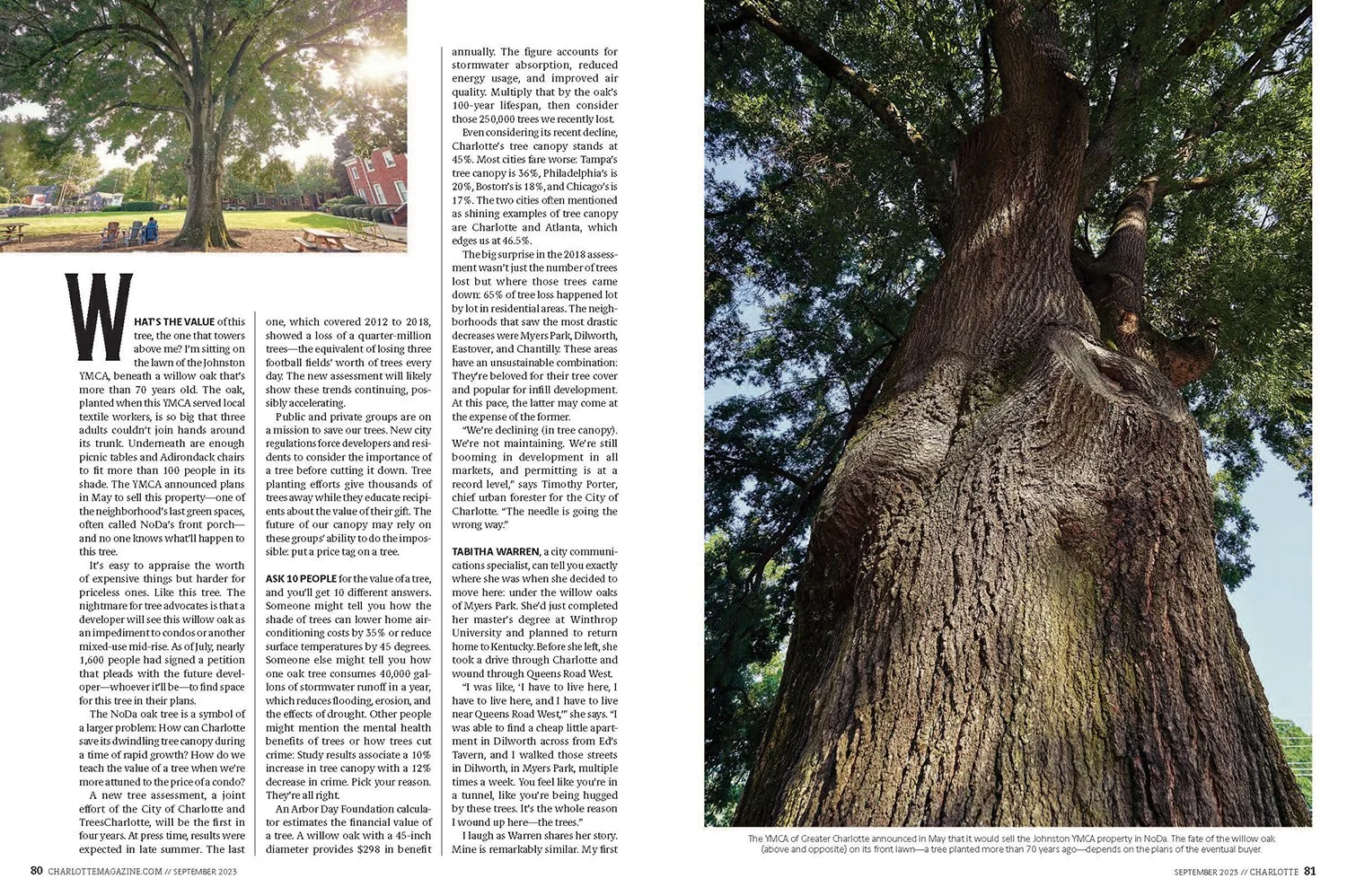 230900_trees_02.jpg