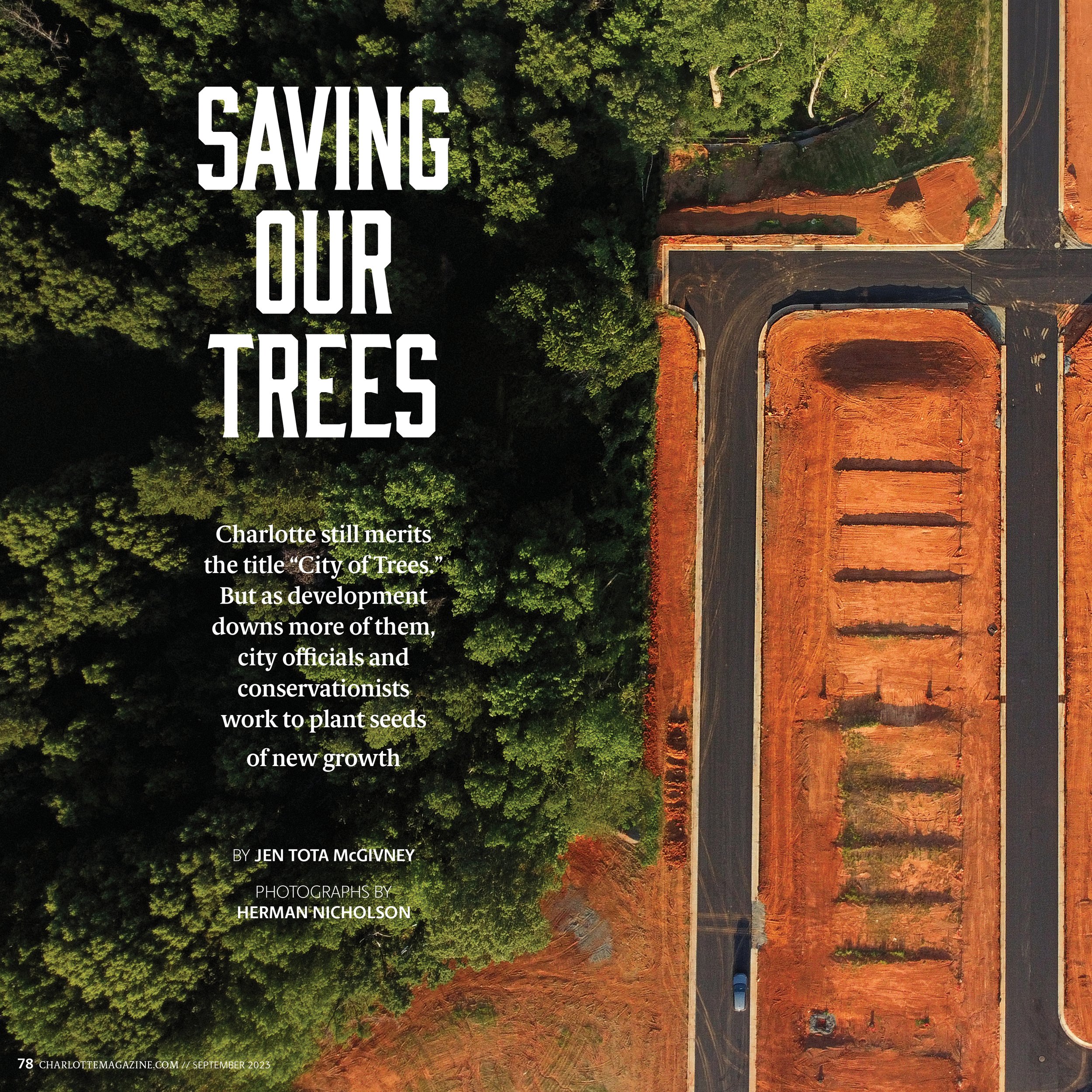 230900_FEA_trees-MAIN.jpg