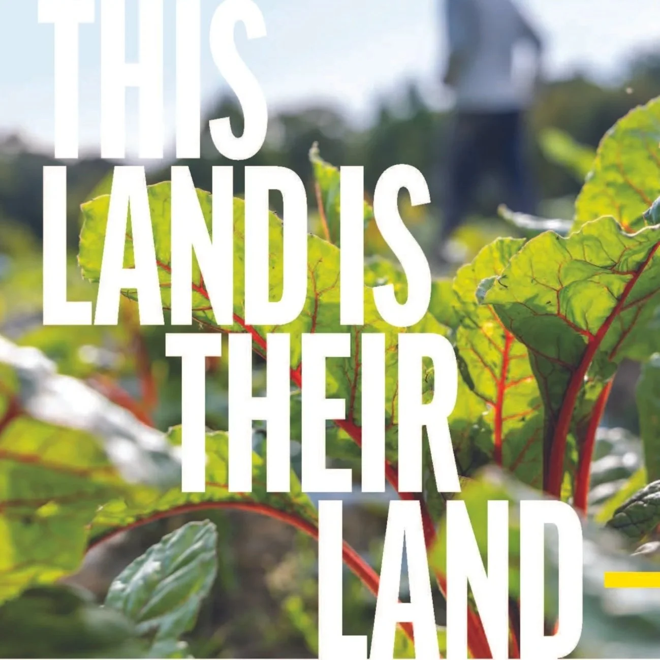 251100_Farms_01.jpg