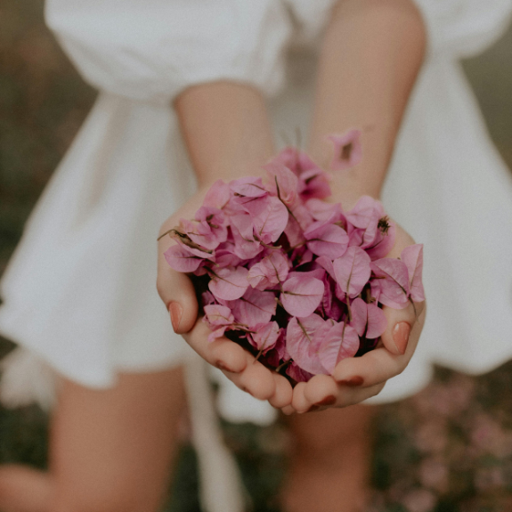 Person holding a handful of pink flowers.