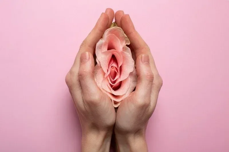 Two hands gently holding a pink flower, possibly a rose, against a pink background.