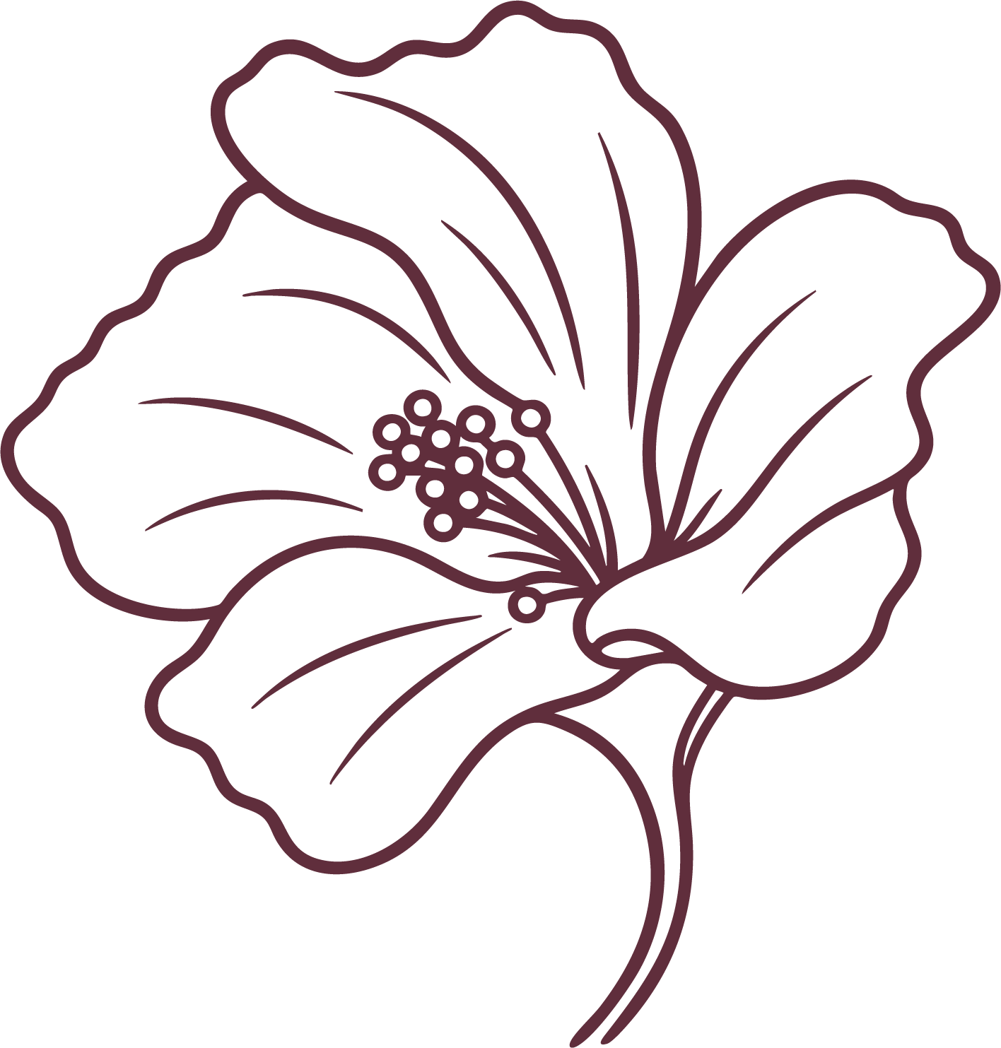 Outline illustration of a hibiscus flower with detailed petals and stamen on a black background.