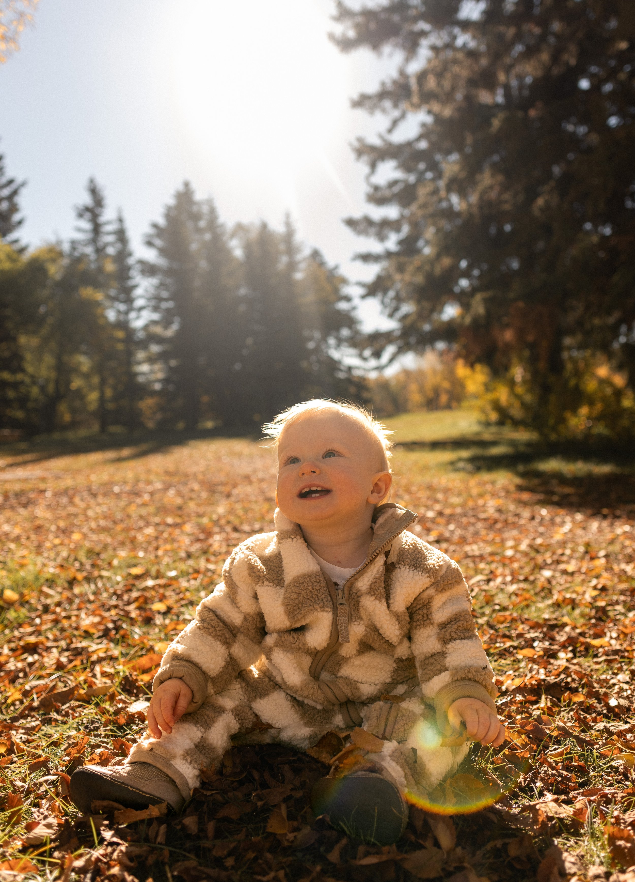 A young child sitting on the ground covered with fallen autumn leaves, outdoors in a park, wearing a beige and brown checkered fleece jacket and gray shoes, with trees and the bright sun in the background.