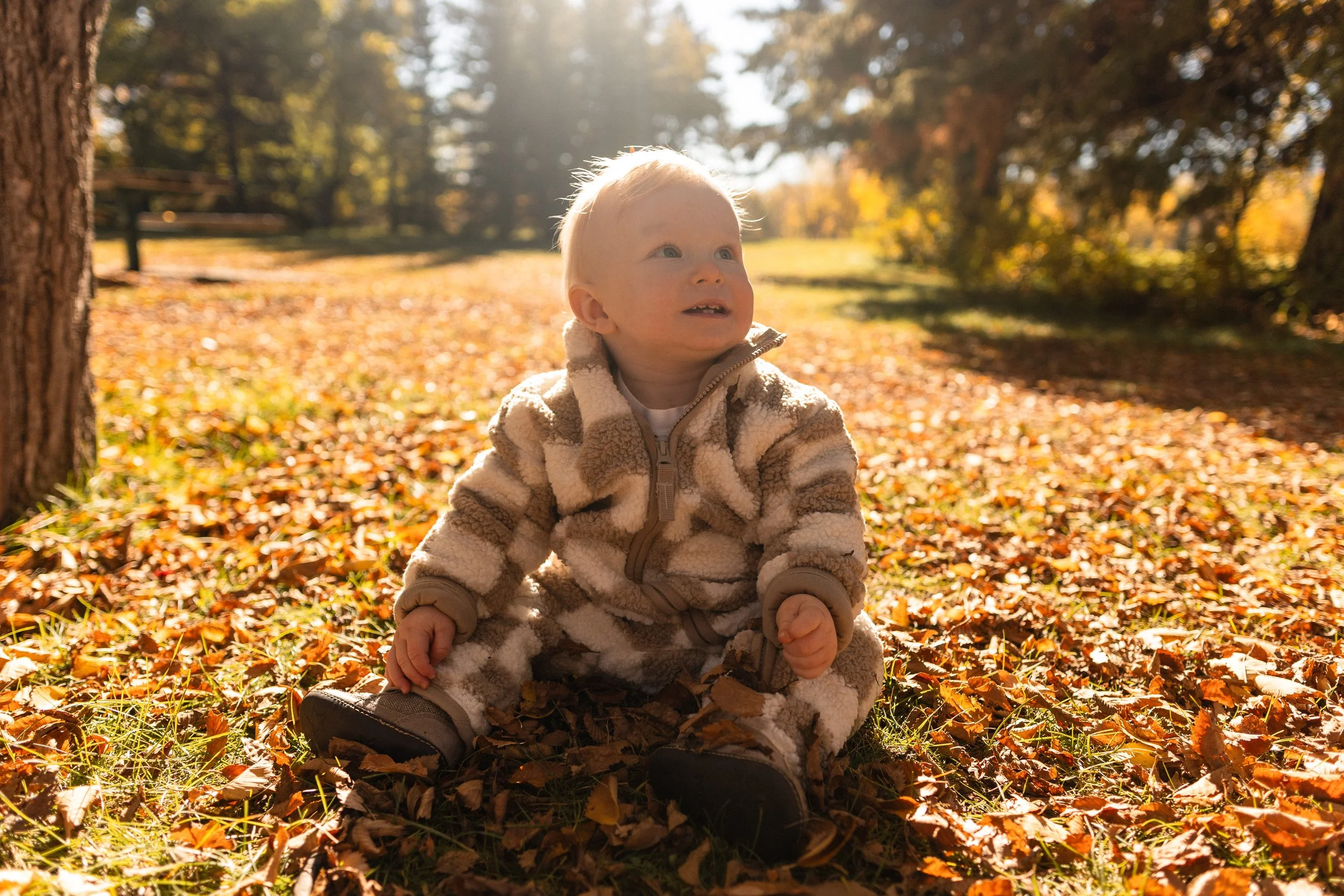 A young child with curly blonde hair and fair skin sitting on a bed of fallen autumn leaves in a park, wearing a cozy beige and brown fleece jacket and dark shoes, looking up and to the side with a curious expression, surrounded by trees with golden 