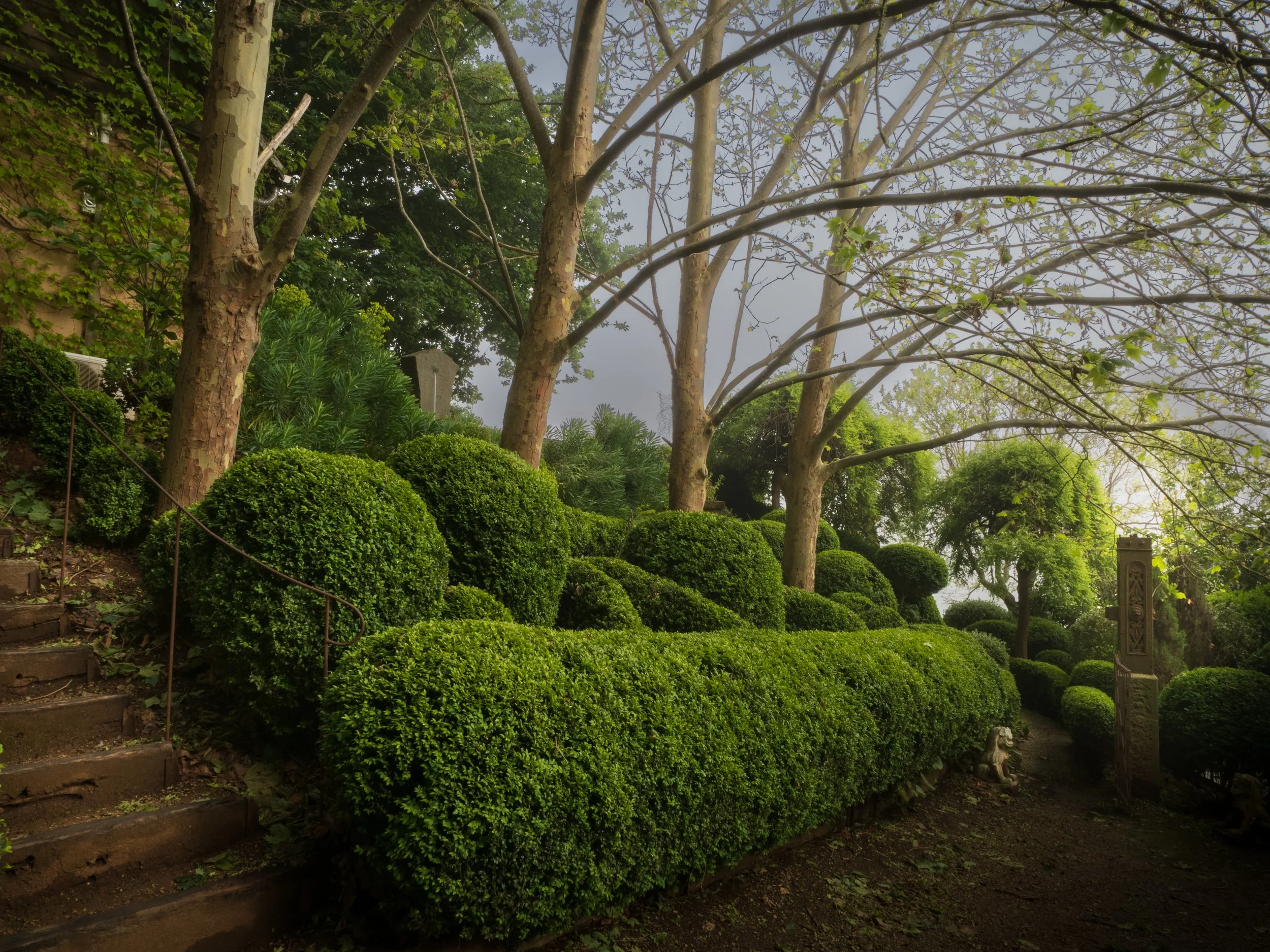 CottageGarden-310523.jpg
