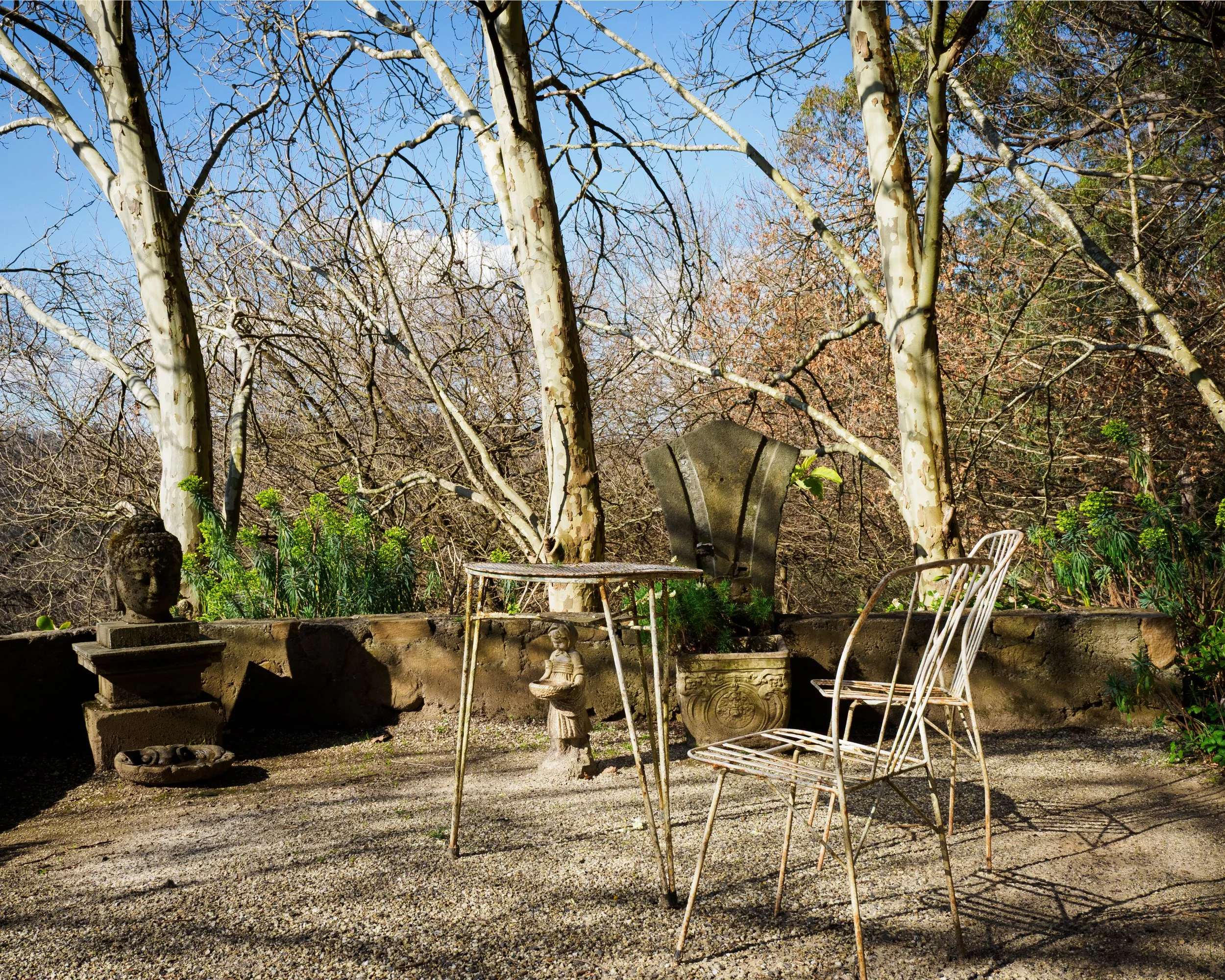 Terracetrees.jpg