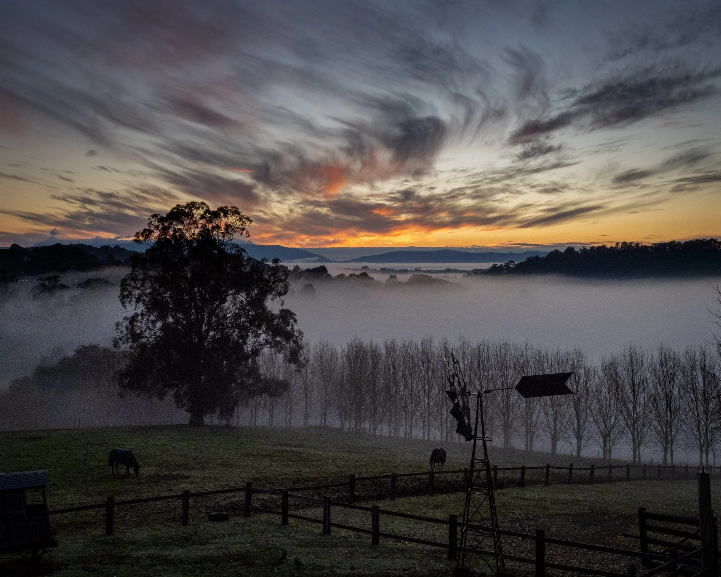 Sunrise2-.jpg
