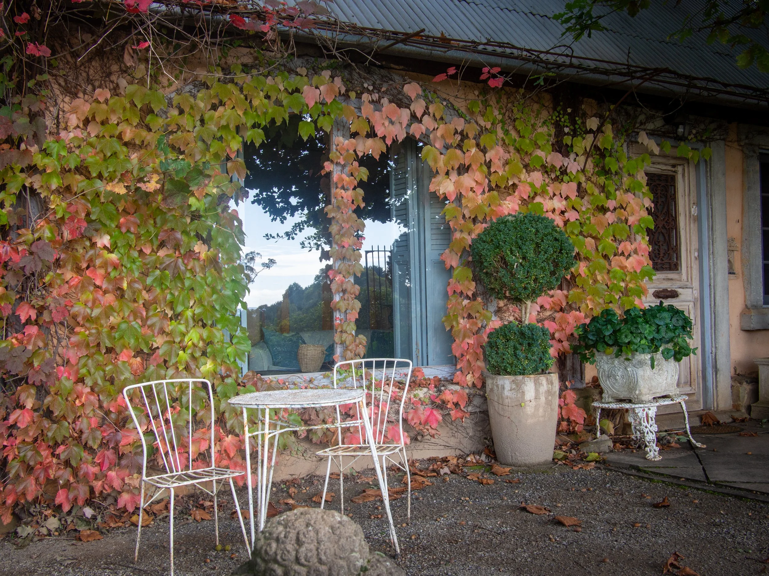 courtyard 1--2.jpg