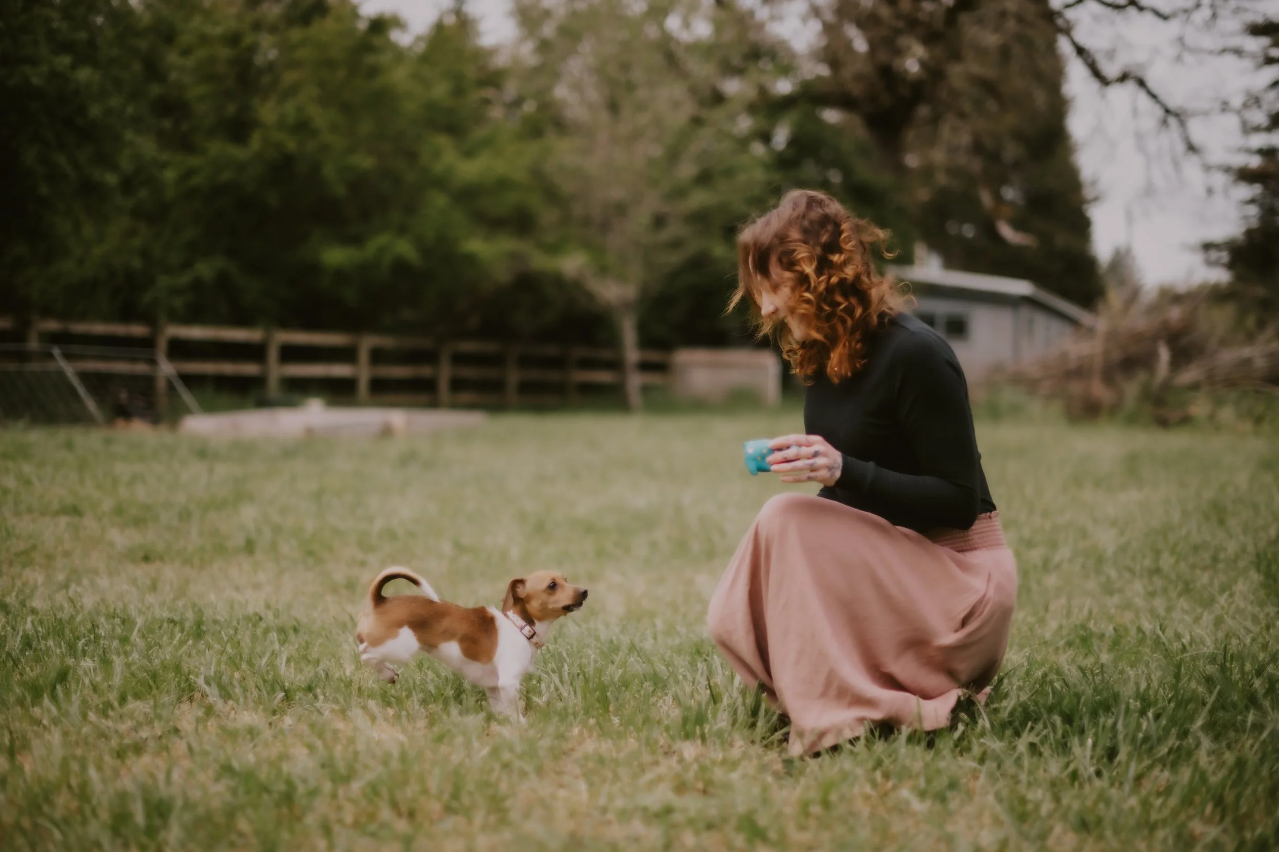 redhead woman in black shirt and pink skirt kneeling in grass field next to small brown and white dog with brown country fence in the background
