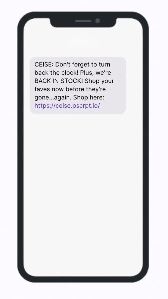 Screenshot of a mobile phone displaying a text message from CEISE with a promotional message about buying back in-stock products and a link to a website.