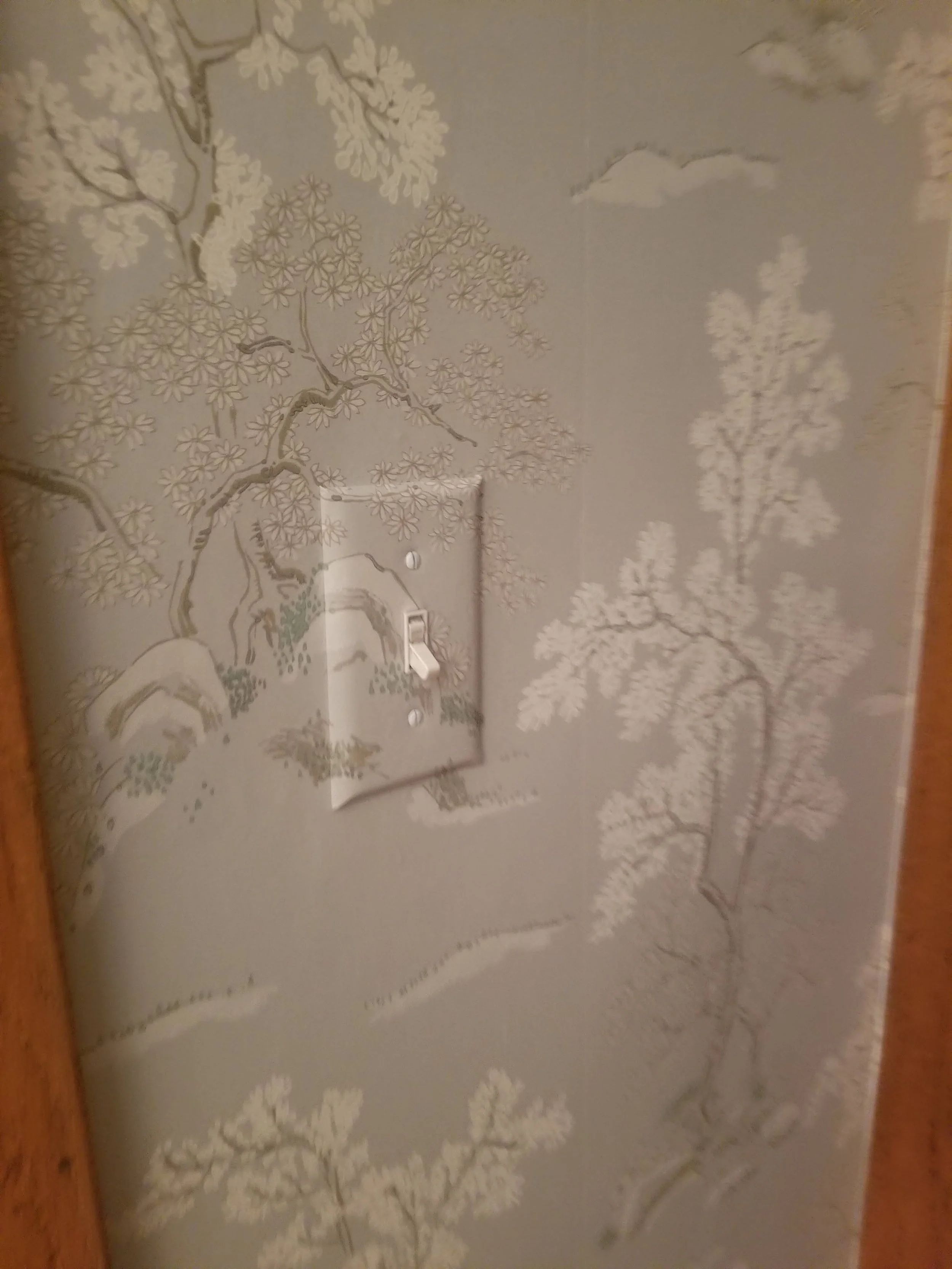 20181112_170145.jpg