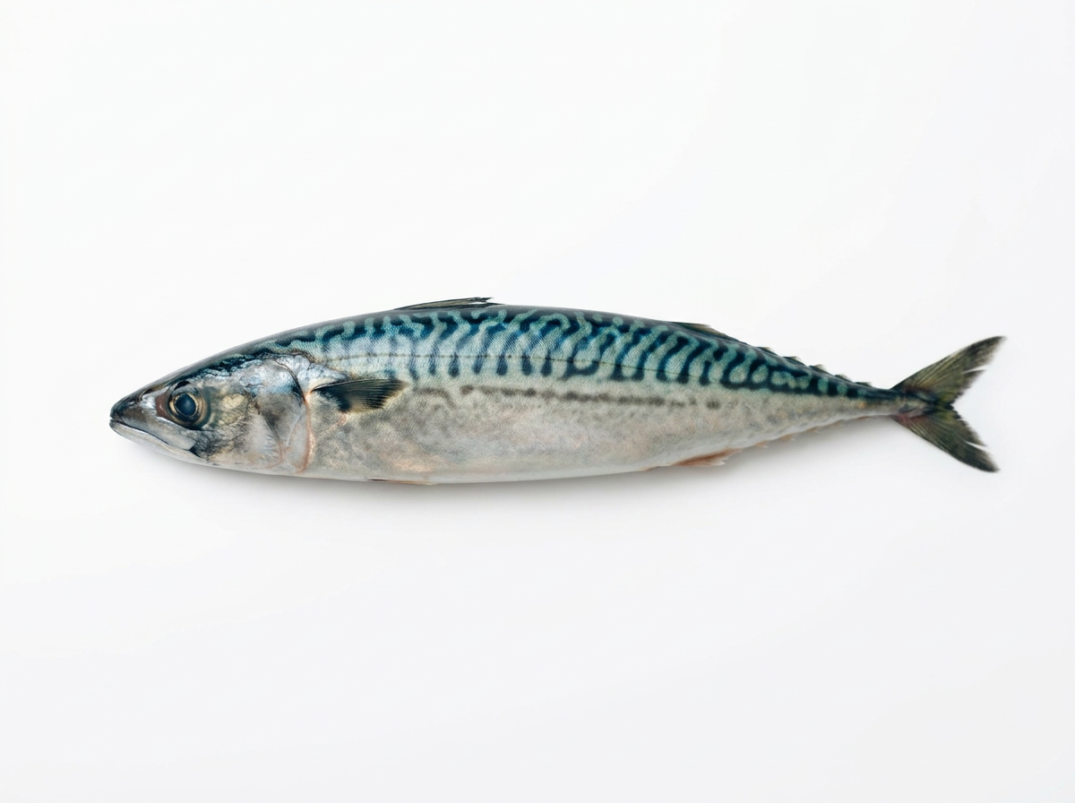 Whole round Saba