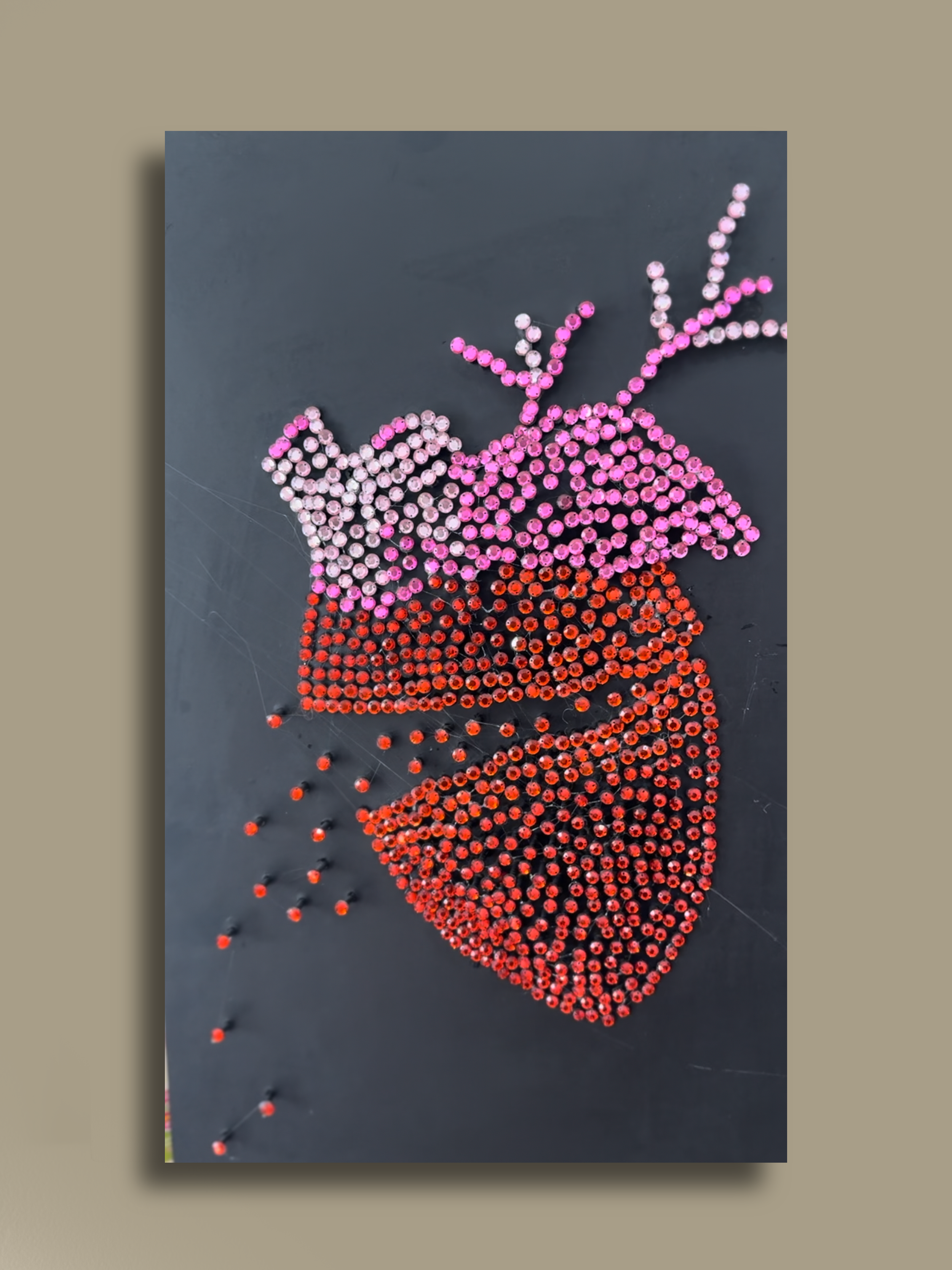 IMG_9354 2.png