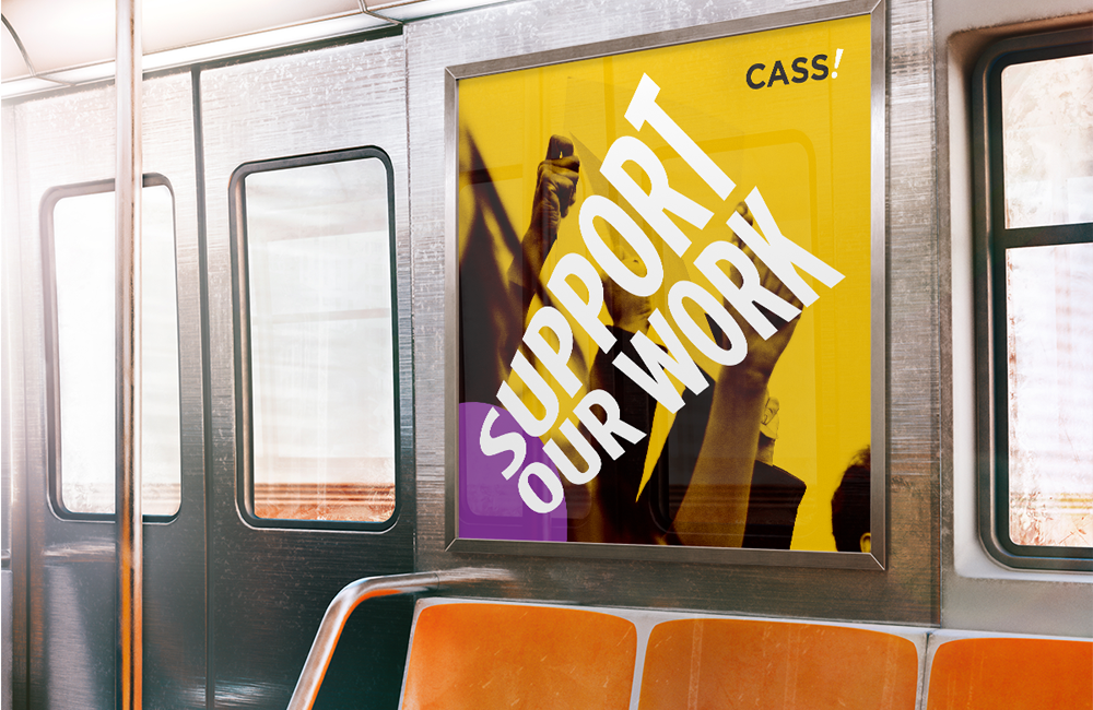 CASS-9B.png