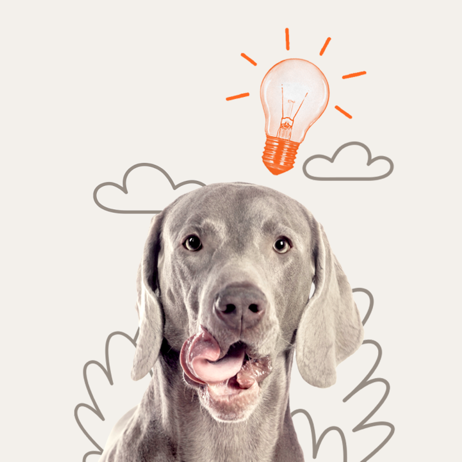 Dog.png