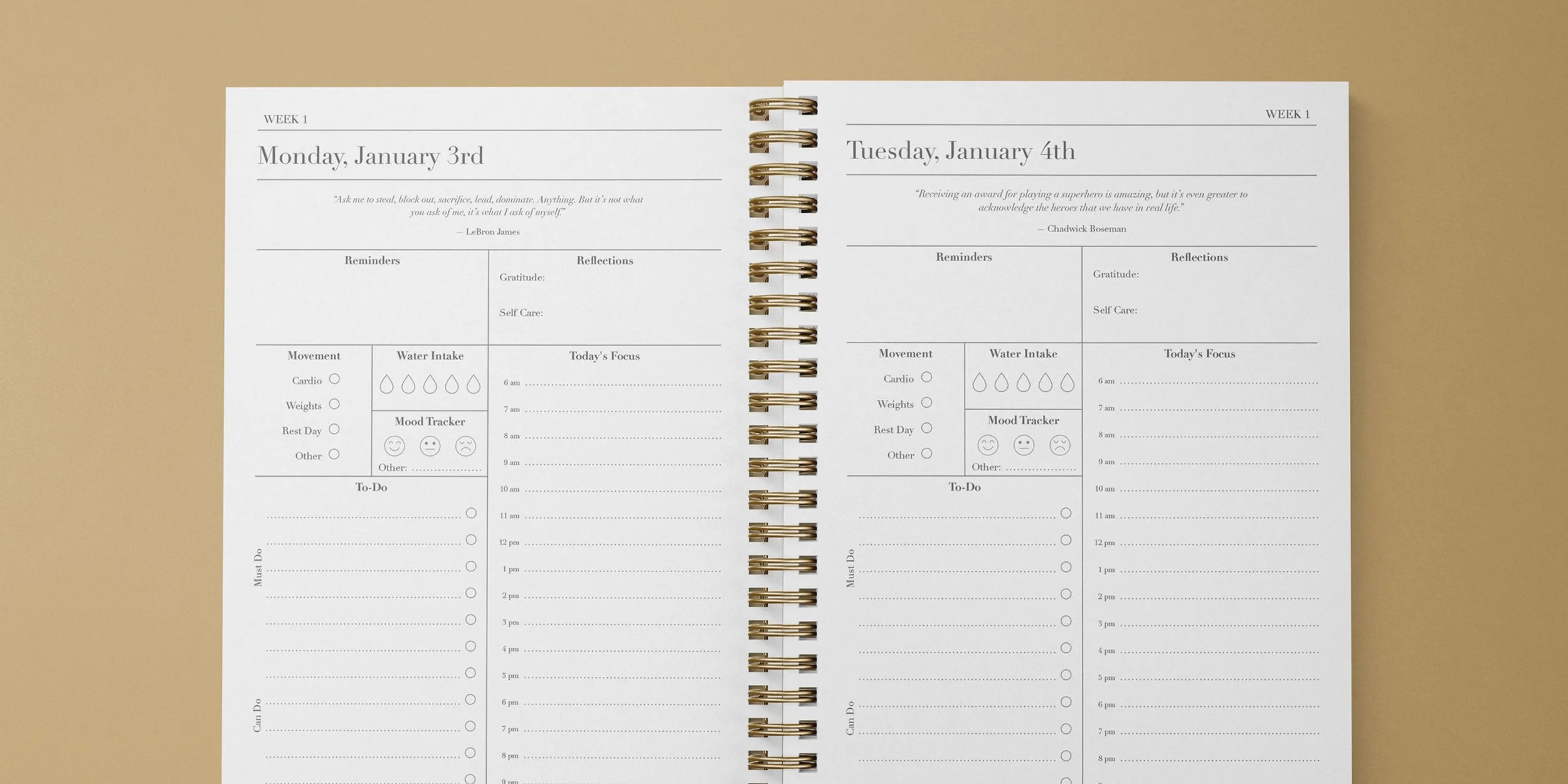 DailySpread.jpg