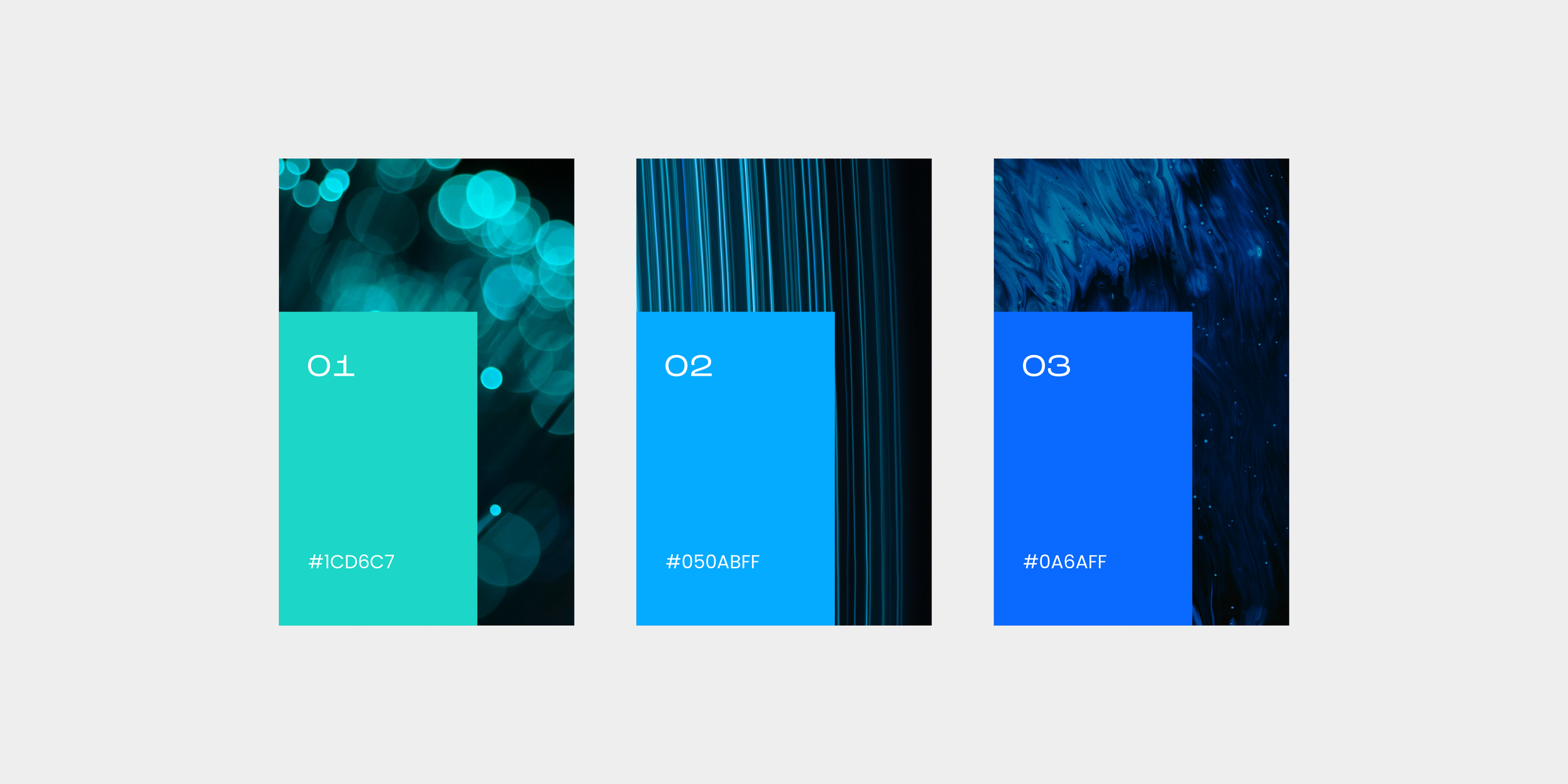 3-Color-Palette.png