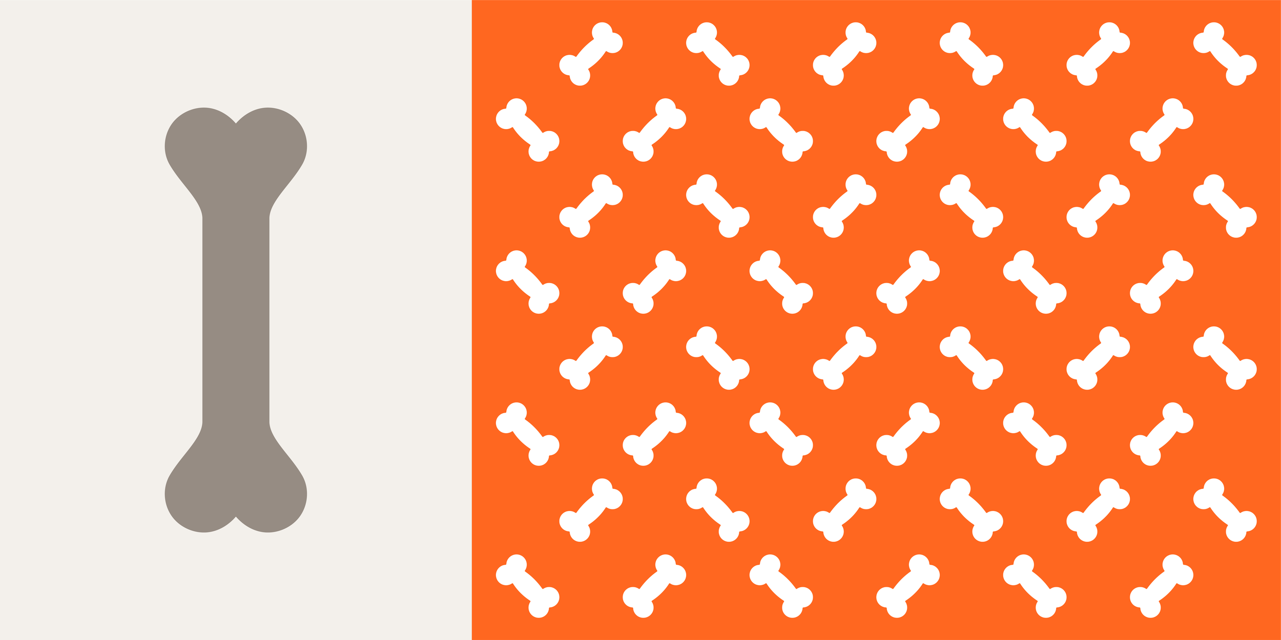AScout-Colors.webp