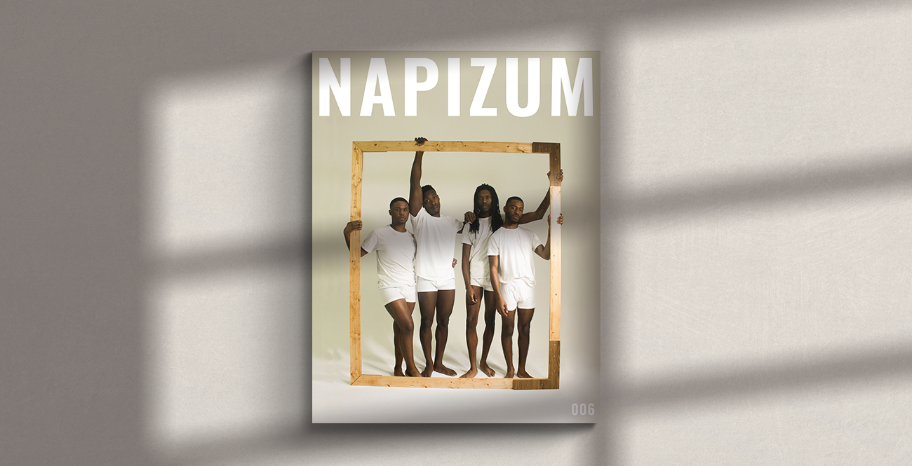 NPZM-BackCover.png