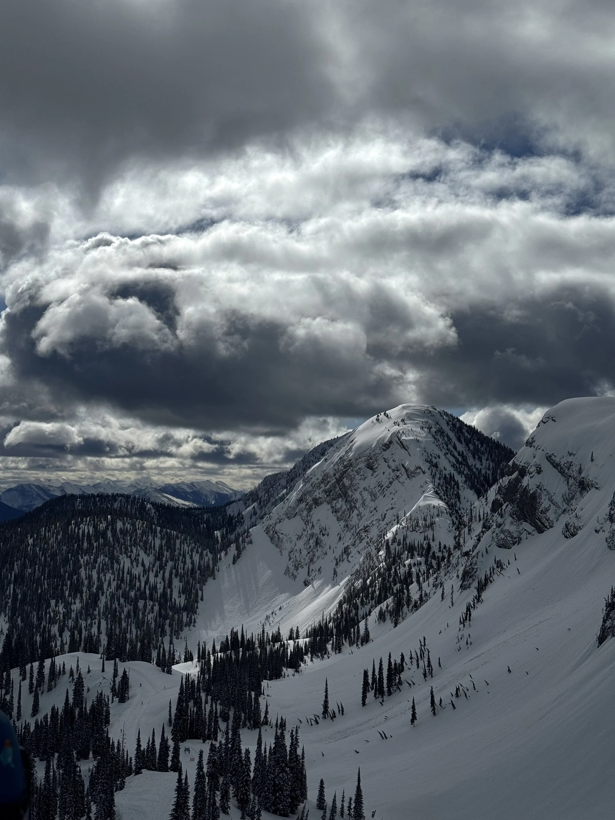 Snow-covered mountain peaks with a dense forest of pine trees at the base, under a cloudy sky.