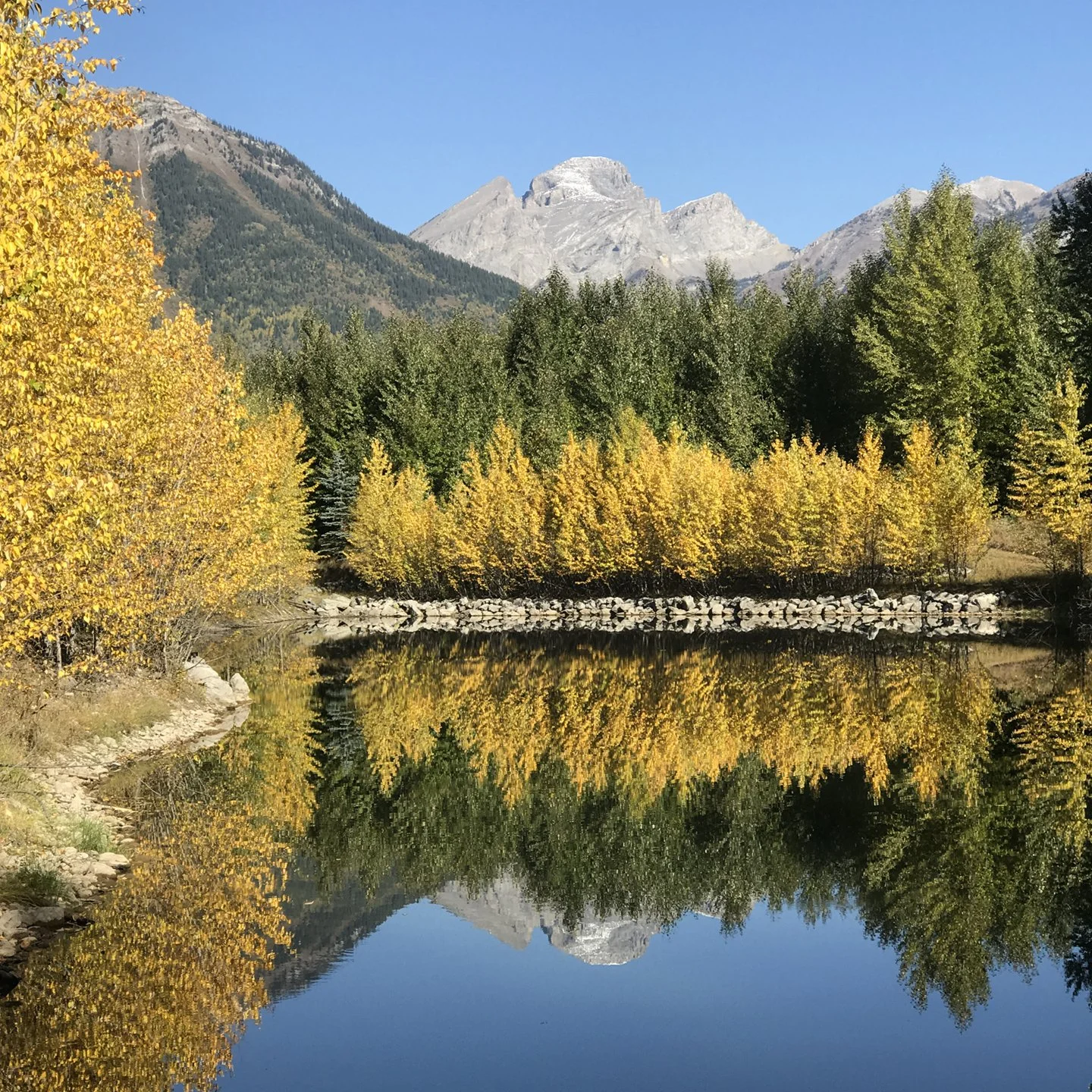Scenic landscape with yellow and green trees by a calm river, mountains in the background, and clear blue sky.
