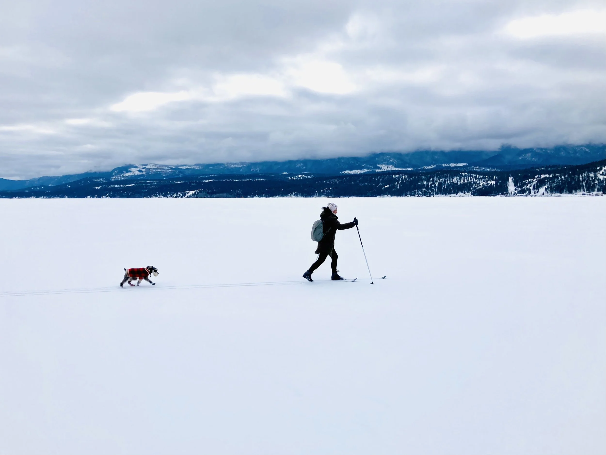 Person cross-country skiing with a dog on a snowy landscape under gray cloudy sky, mountains in the background.