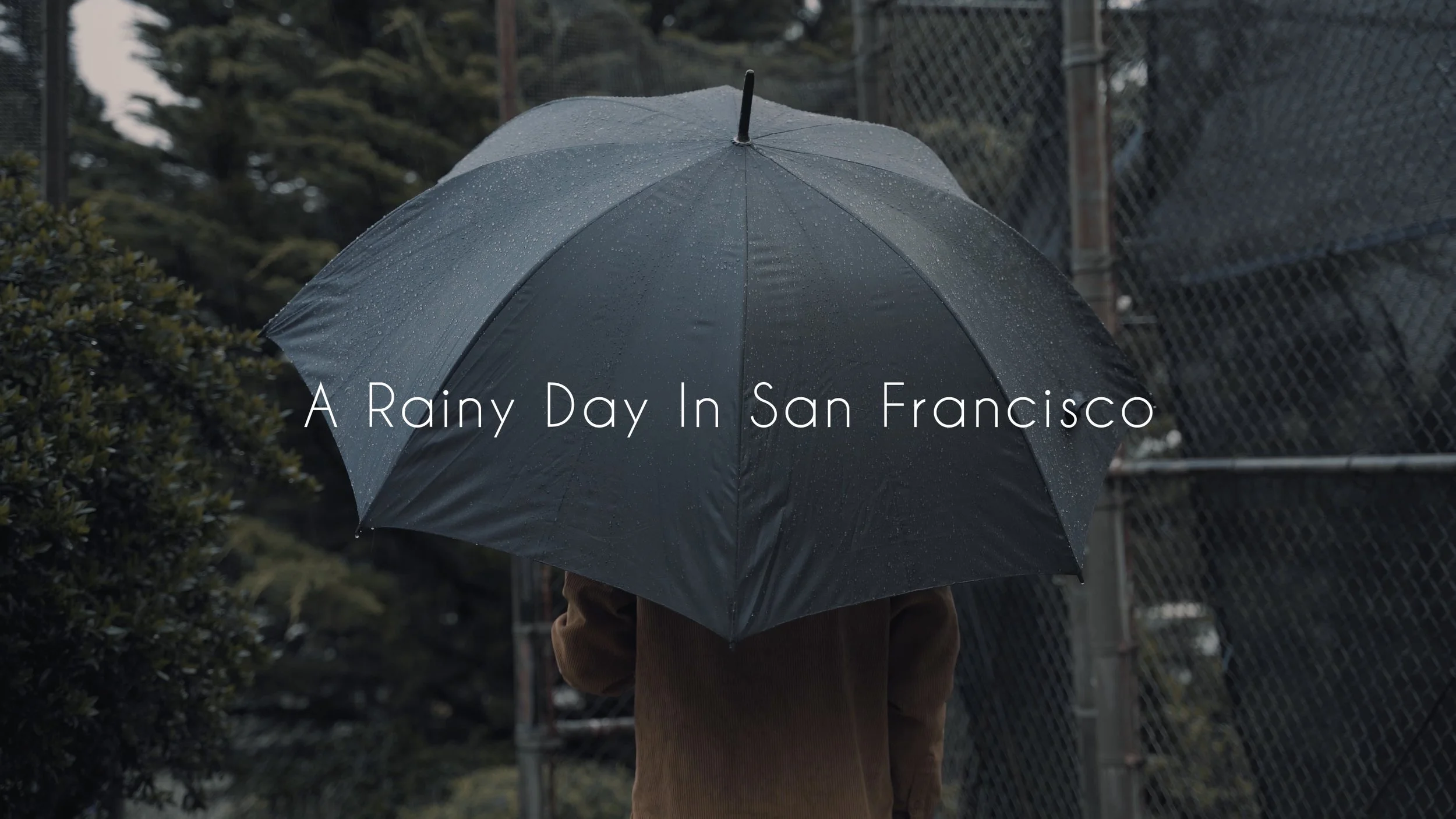 A Rainy Day in San Francisco