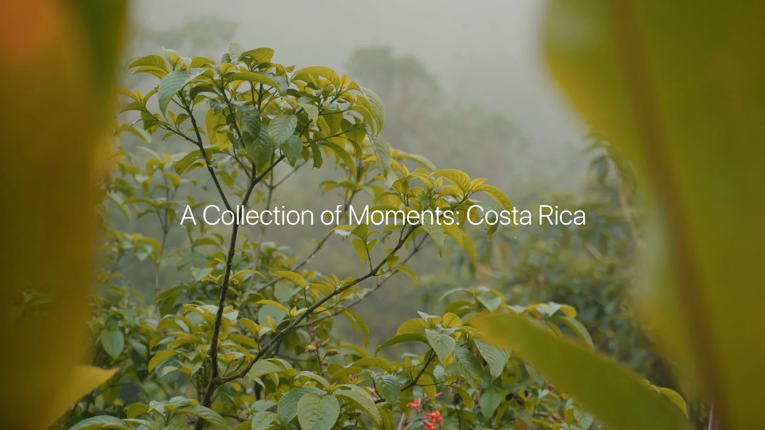 A Collection of Moments: Costa Rica