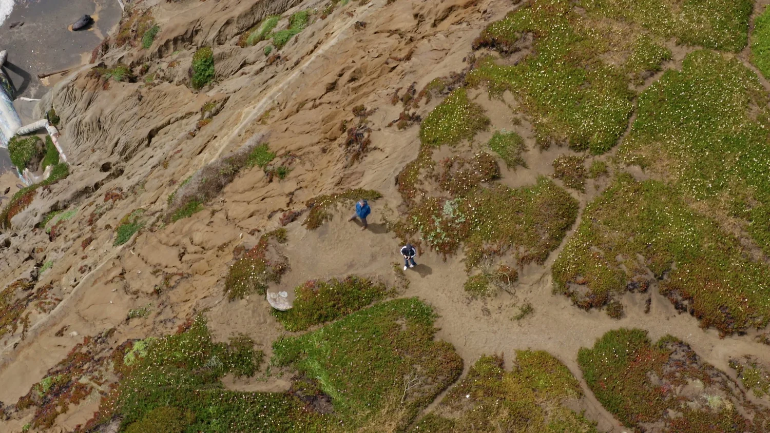 Fort Funston