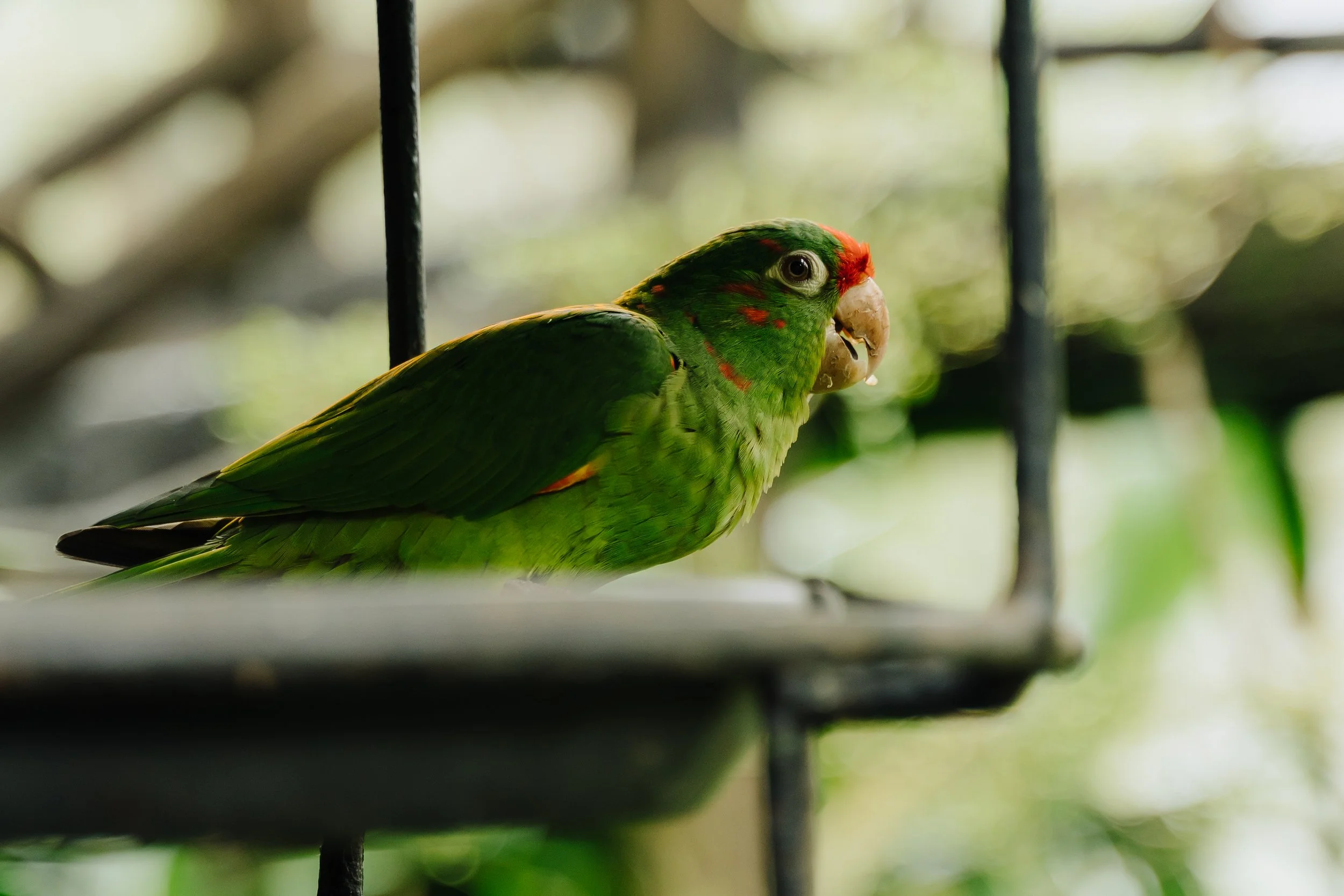 DSC05606.jpg