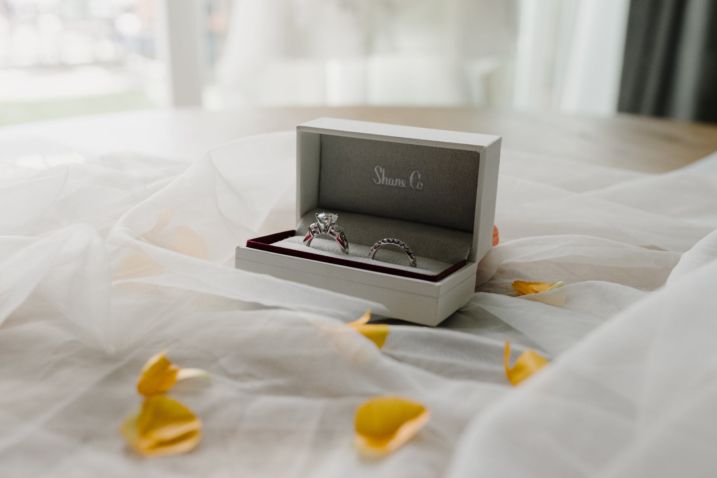 Flat Lay-17.jpg