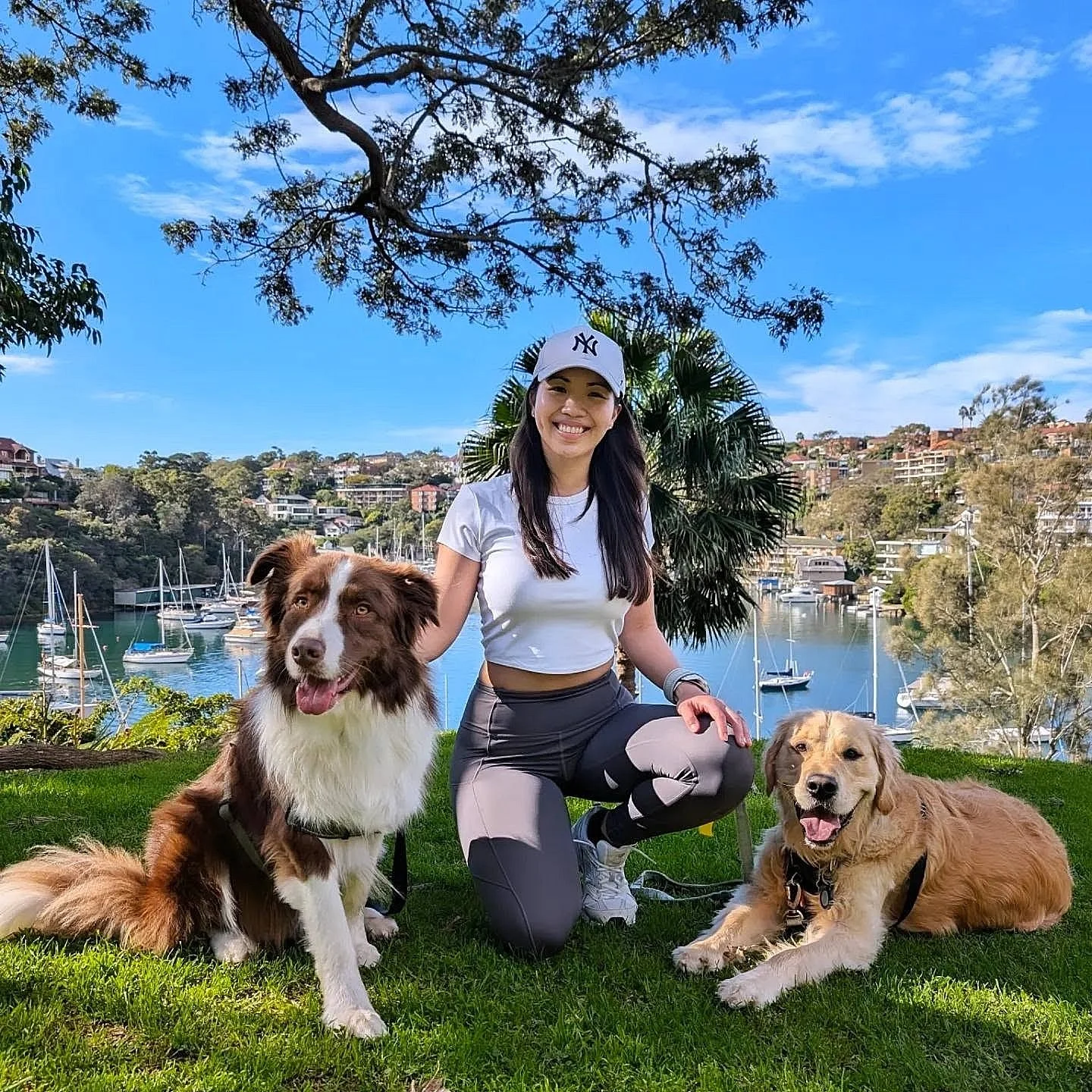 A woman with two dogs by a marina with sailboats, trees, and houses in the background on a sunny day.