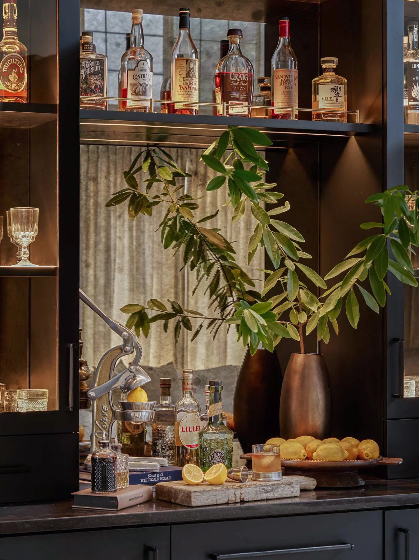 A bar countertop with various bottles of alcohol, lemons, and snacks, including lemons and a bowl of lemons. There is a tall leafy plant in front of the bar, with a shelf above holding bottles of whiskey. A book titled 'American Bar' is on the counte