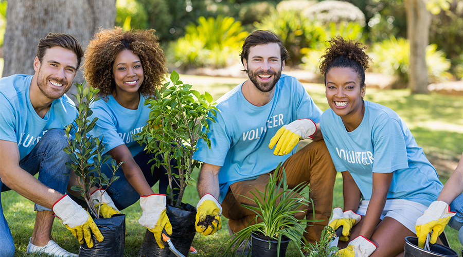 Group of five volunteers planting trees outdoors on a sunny day, wearing light blue T-shirts and gardening gloves.