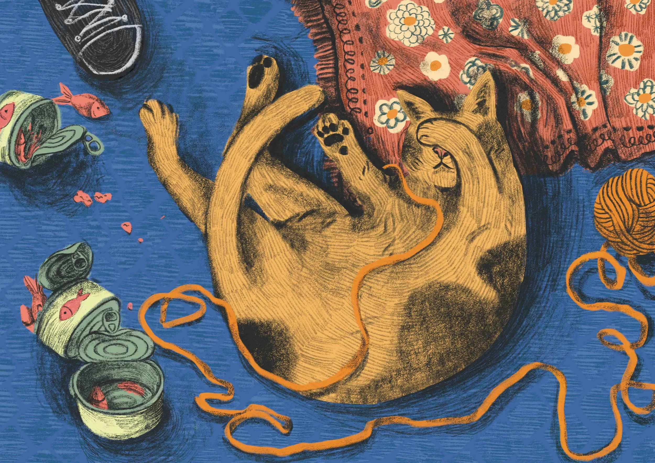 Cat-1---Cat-Nap-(Compressed).jpg