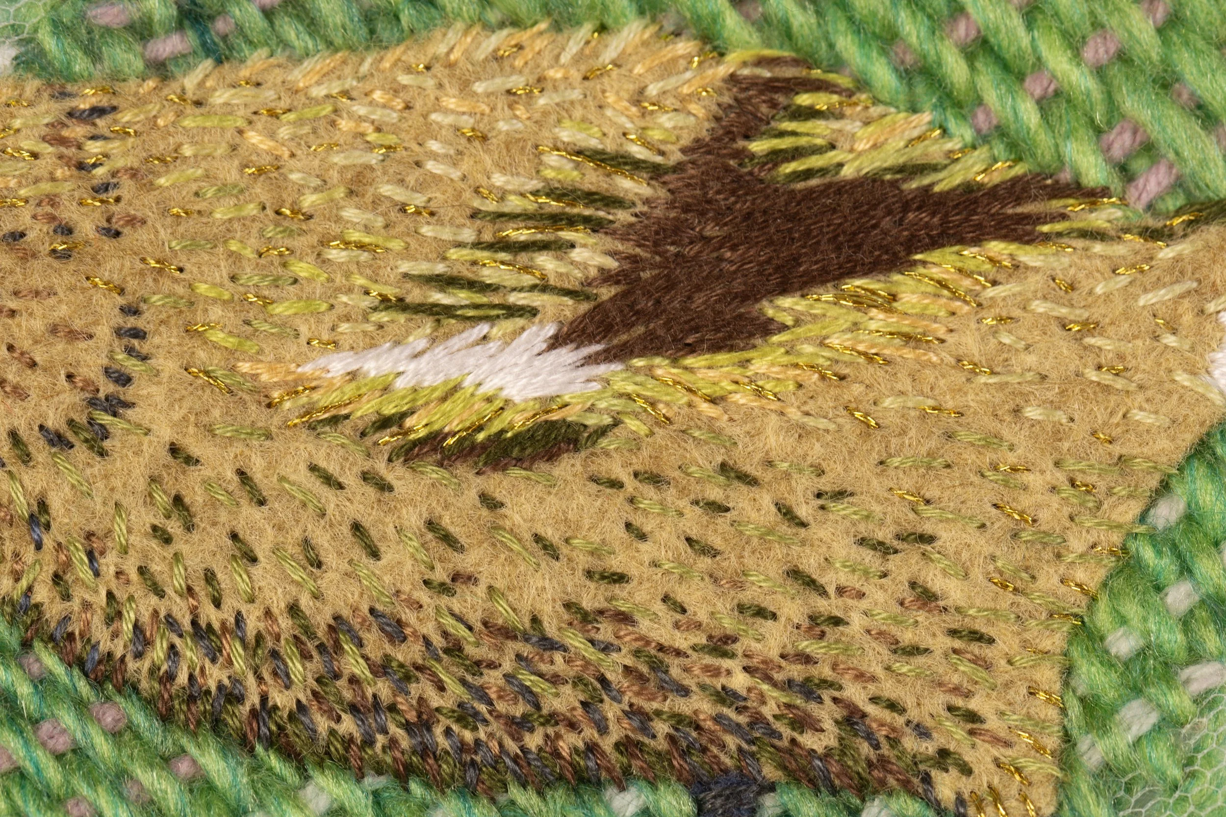 korimako-CU1.jpg