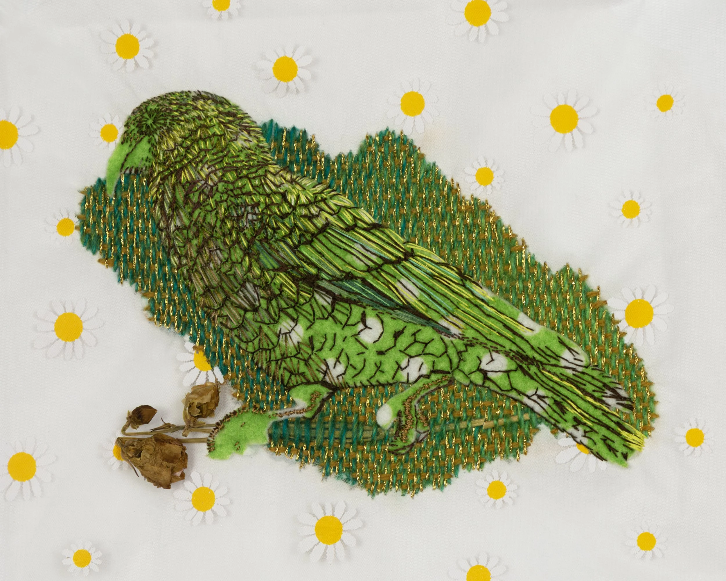 kea3.jpg
