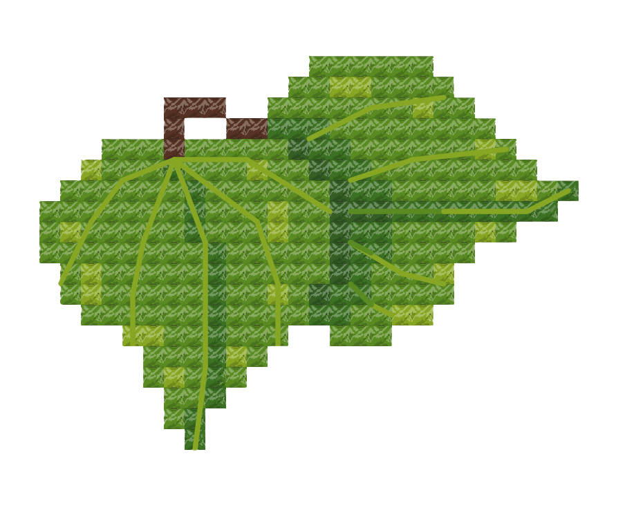 LaniGlass_VisComm_Task2_kawakawa.gif