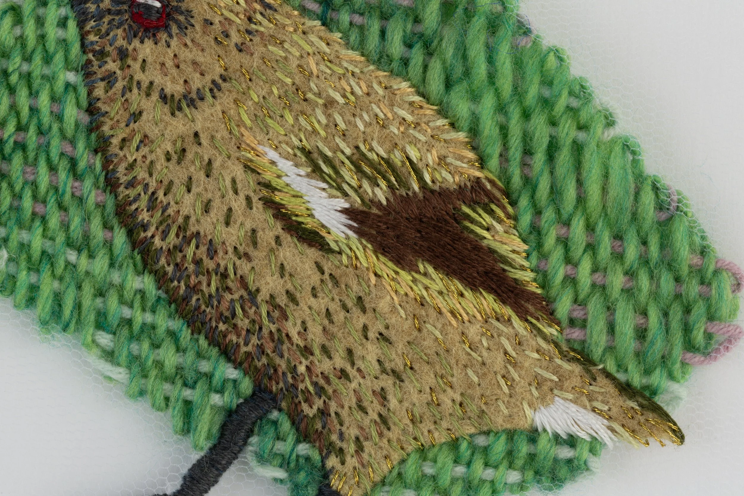 korimakoCU3.jpg